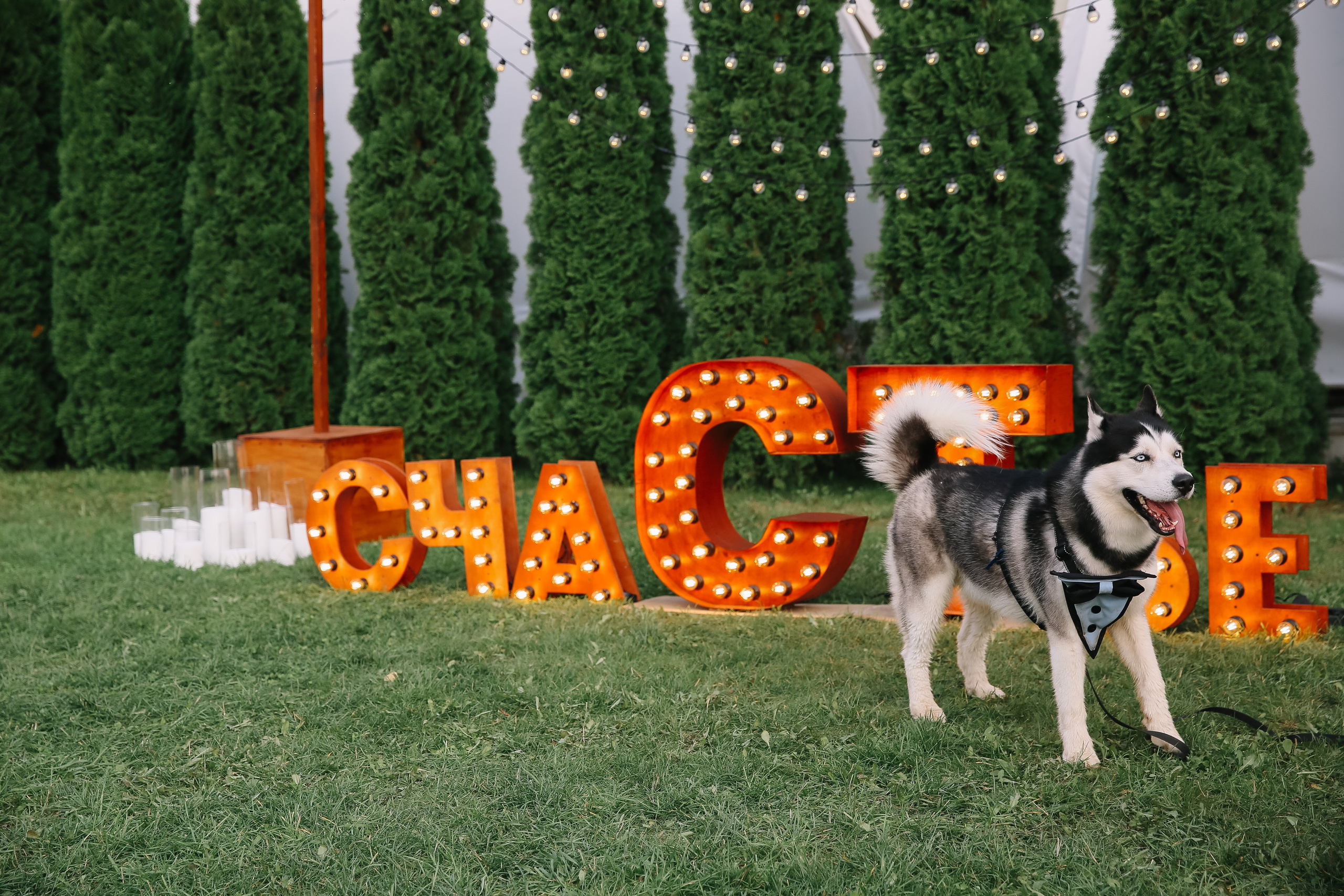 Сандро и Татьяна Swissotel Красные Холмы. Фотограф и видеограф Анна Домашенко