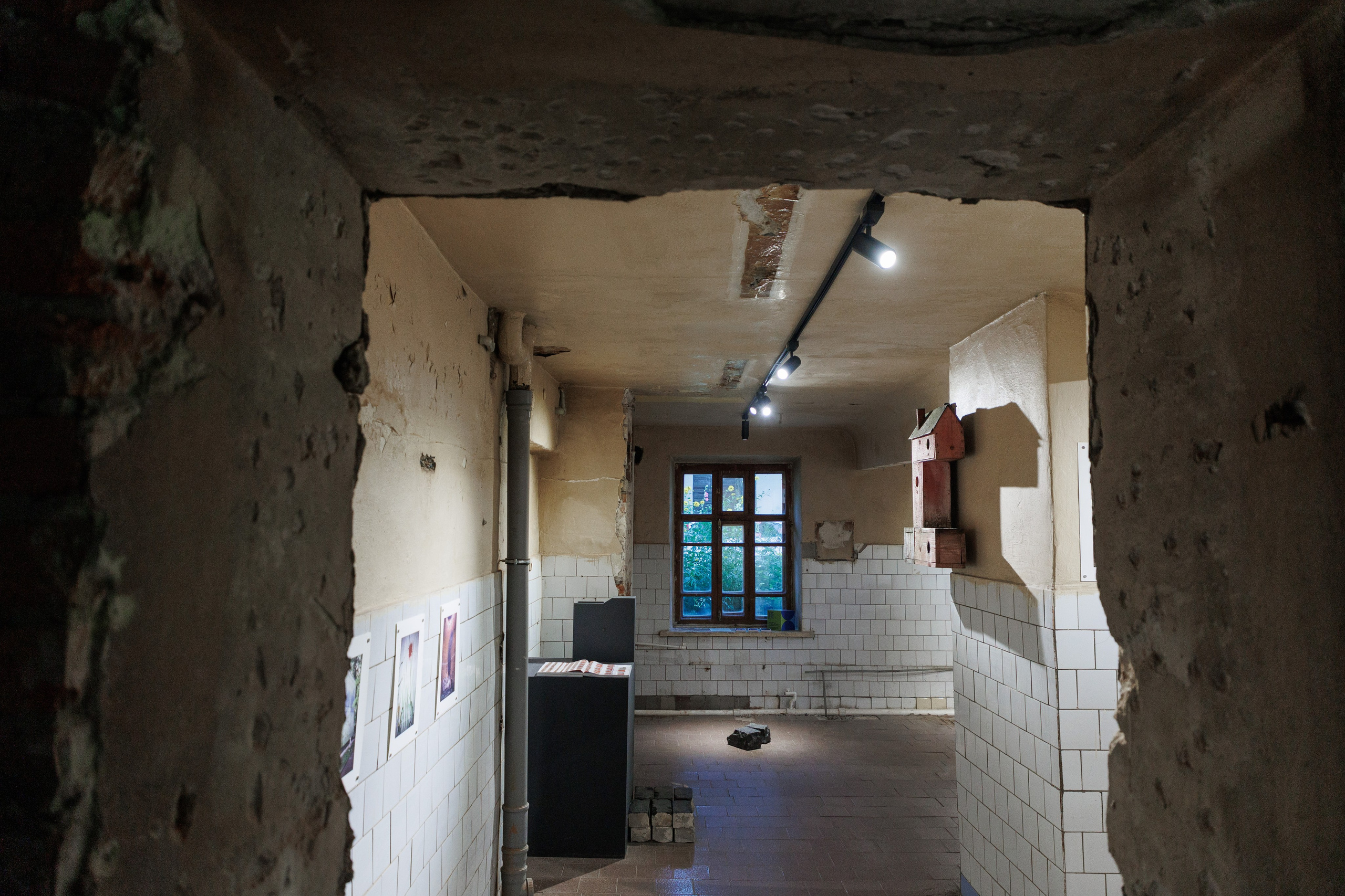 «Выксунский альбом» и «Вновь». Фотограф городских и семейных событий Артем Карпухин