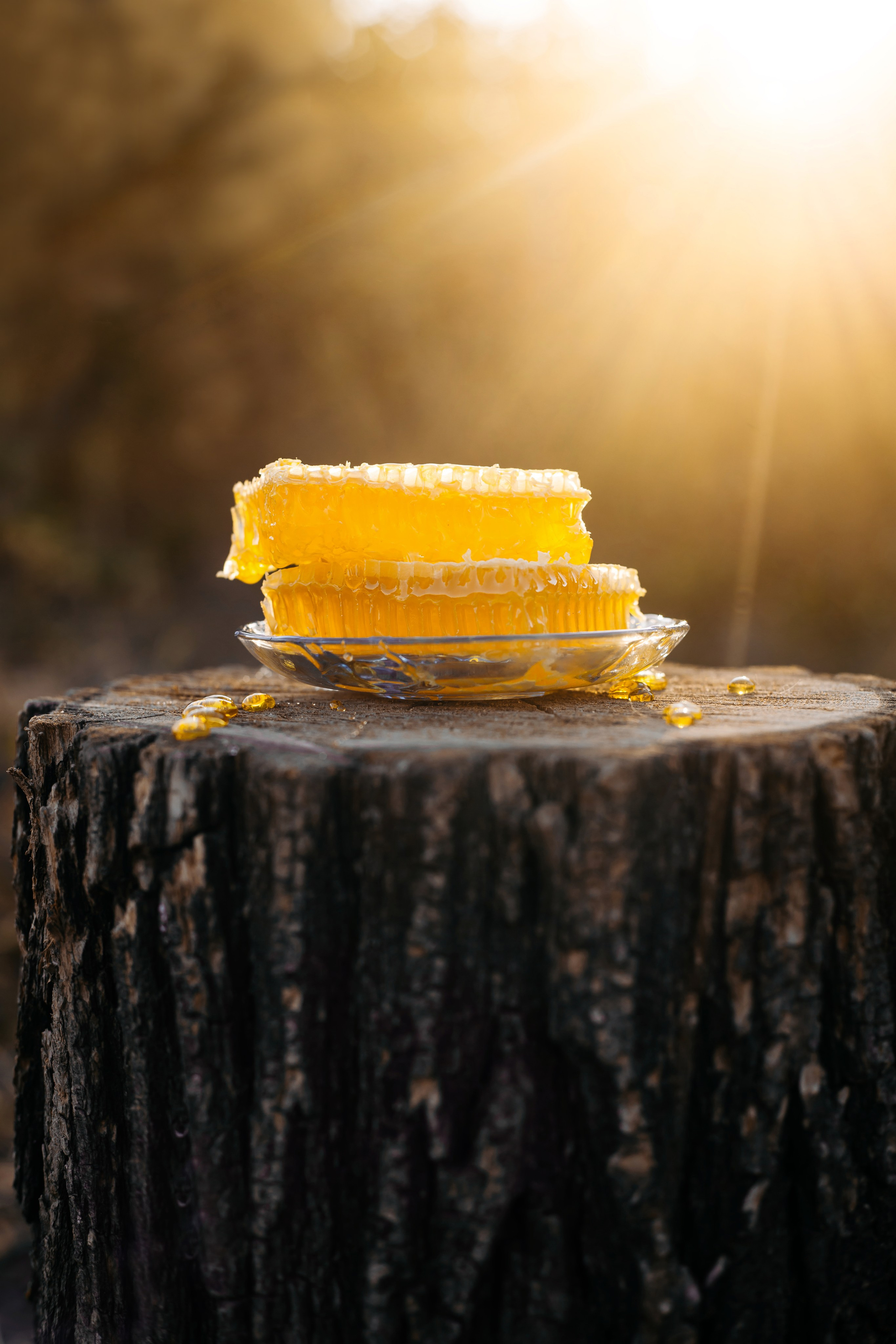 Контент фотосессия для частной пасеки. Свадебный и семейный фотограф в Краснодарском крае Мария Данилкина