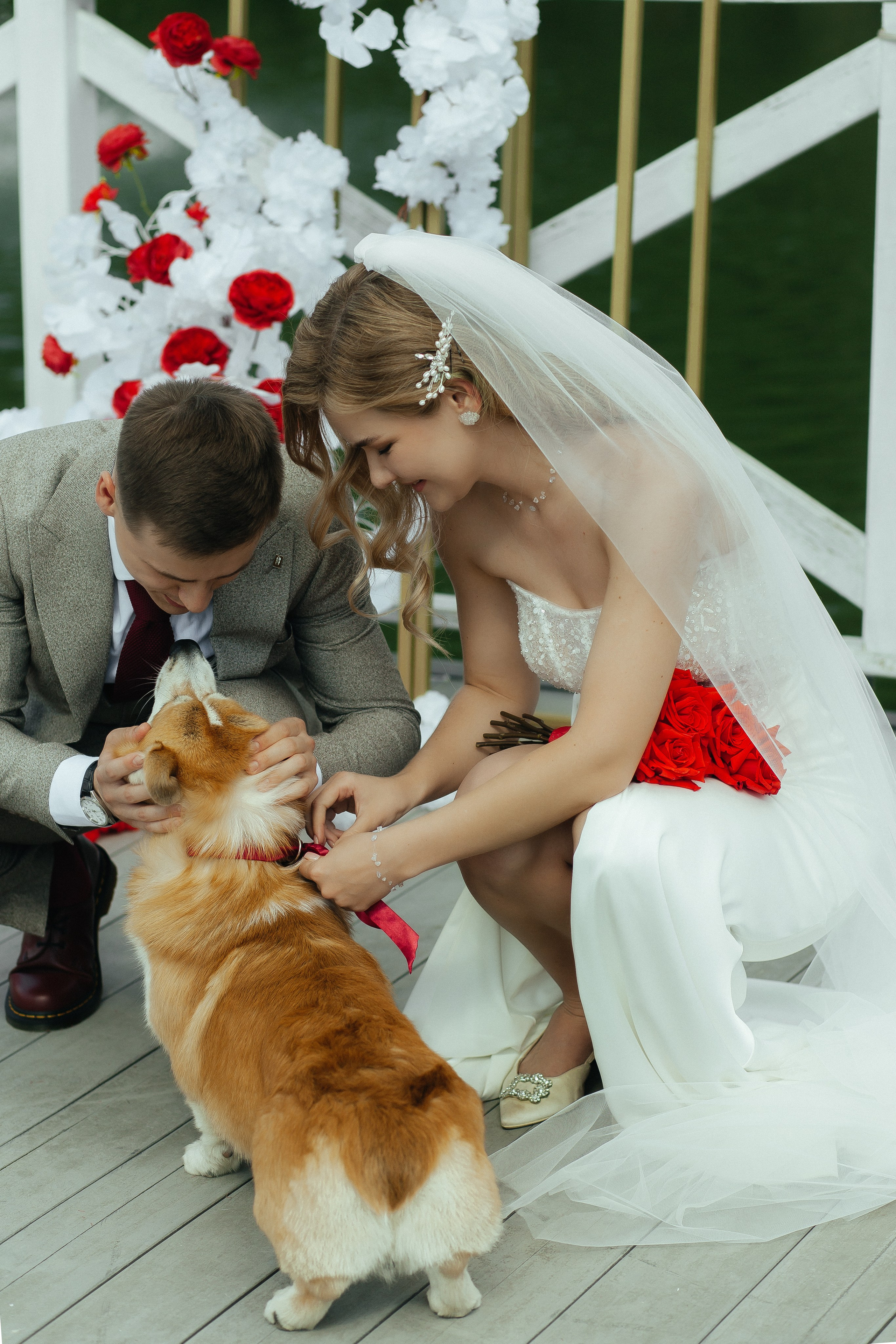 D & D. Фотограф Ольга Сапронова. Свадебный фотограф Ольга Сапронова