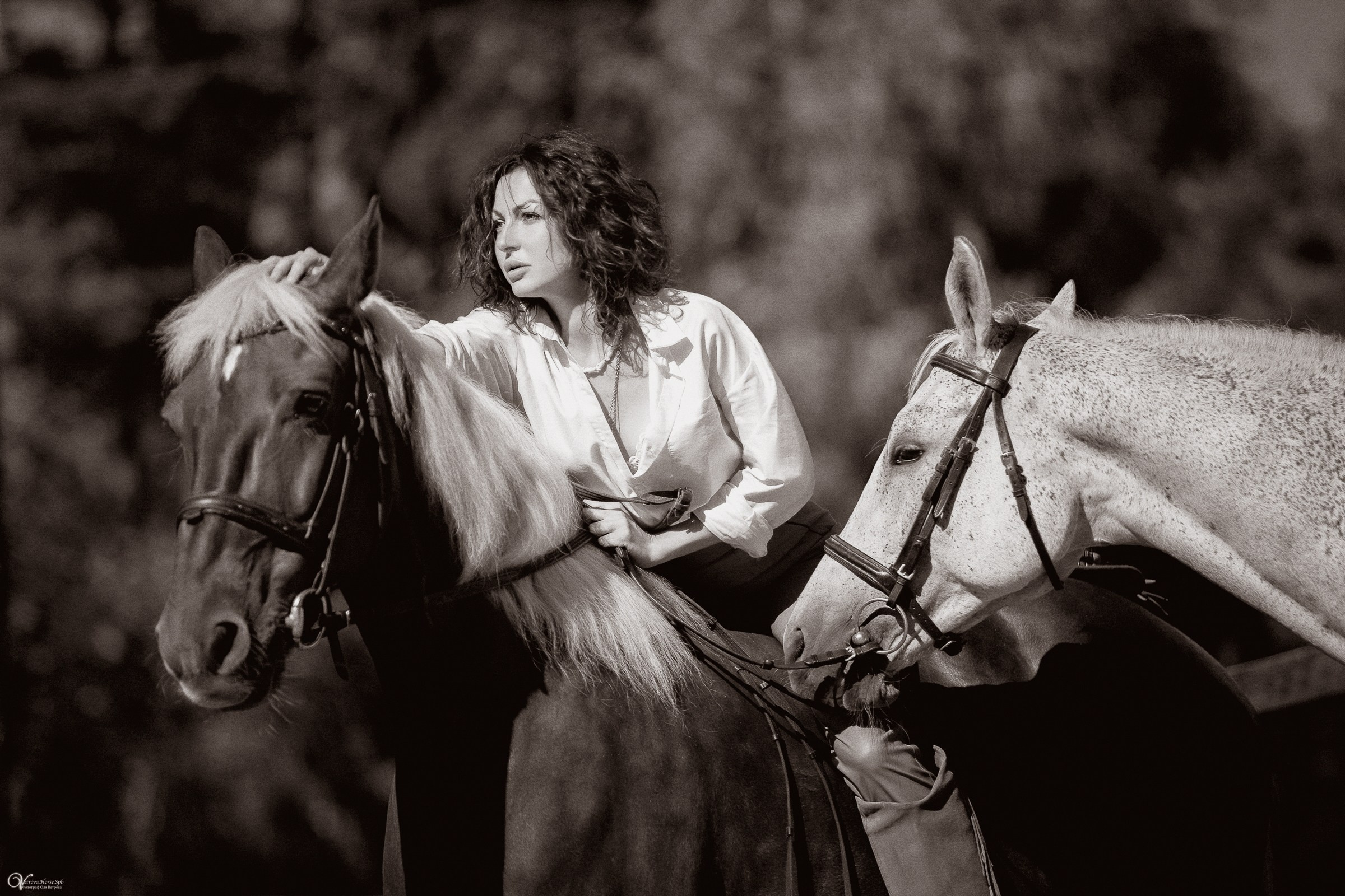 Фотосессия с лошадьми в катри-стиле. Фотограф женский и мужской портрет Санкт-Петербург