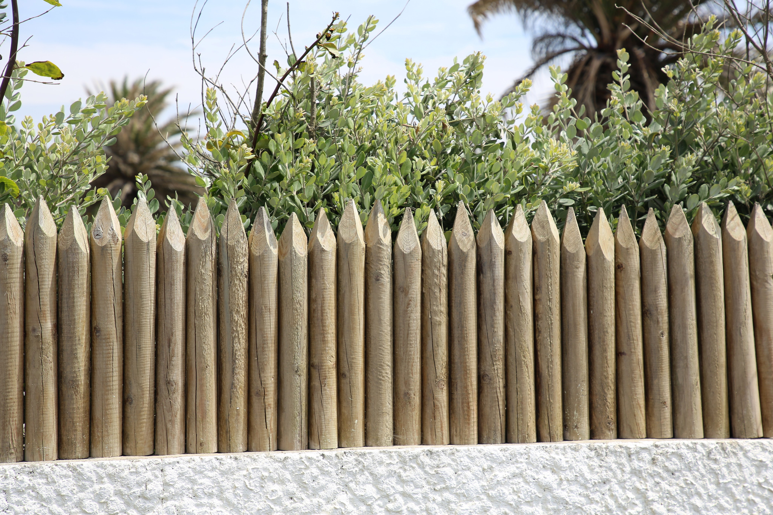 Esmoriz, Portugal. Andrey Filippov Photographer