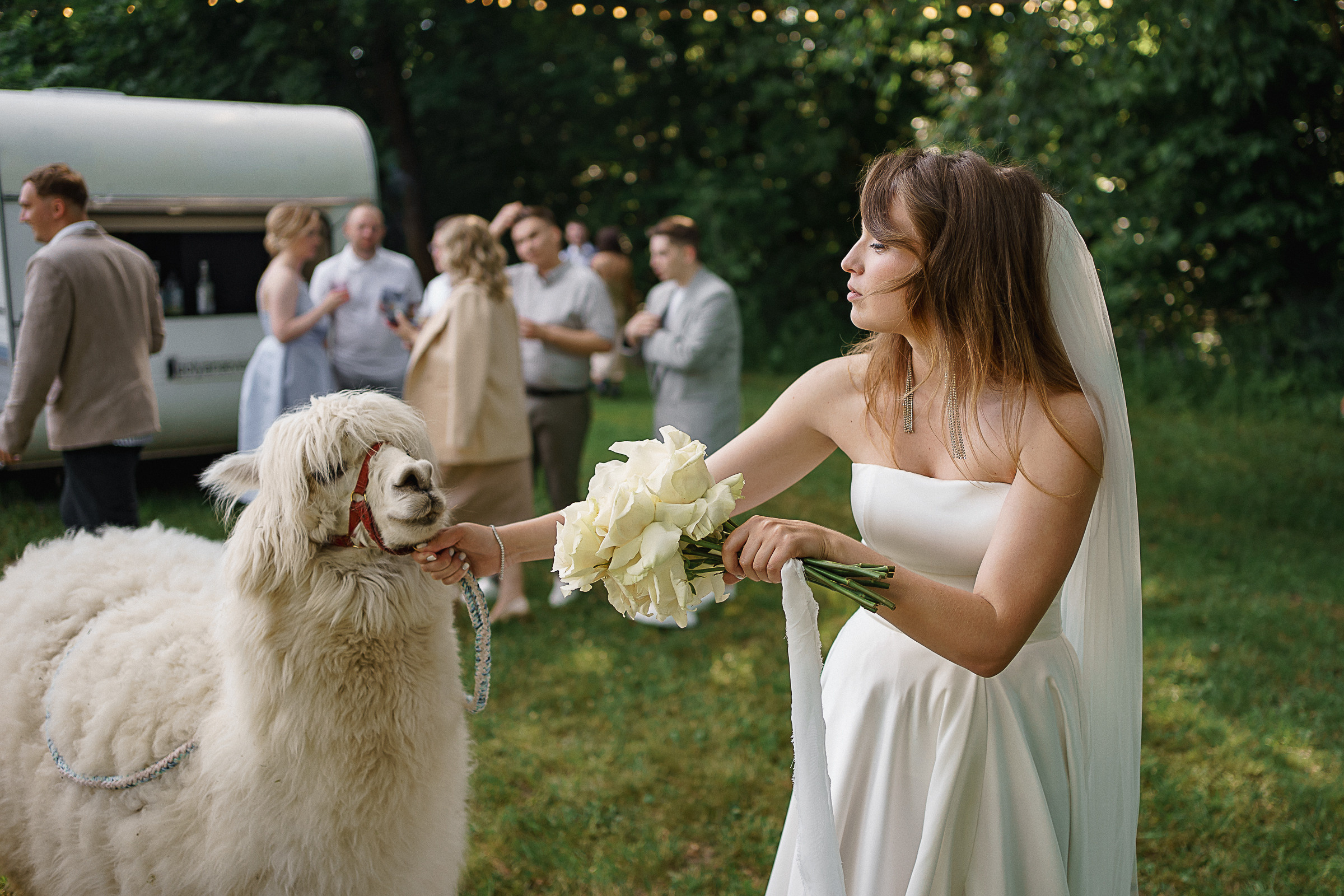 На воде и суше. Свадебный фотограф Александр Осипов