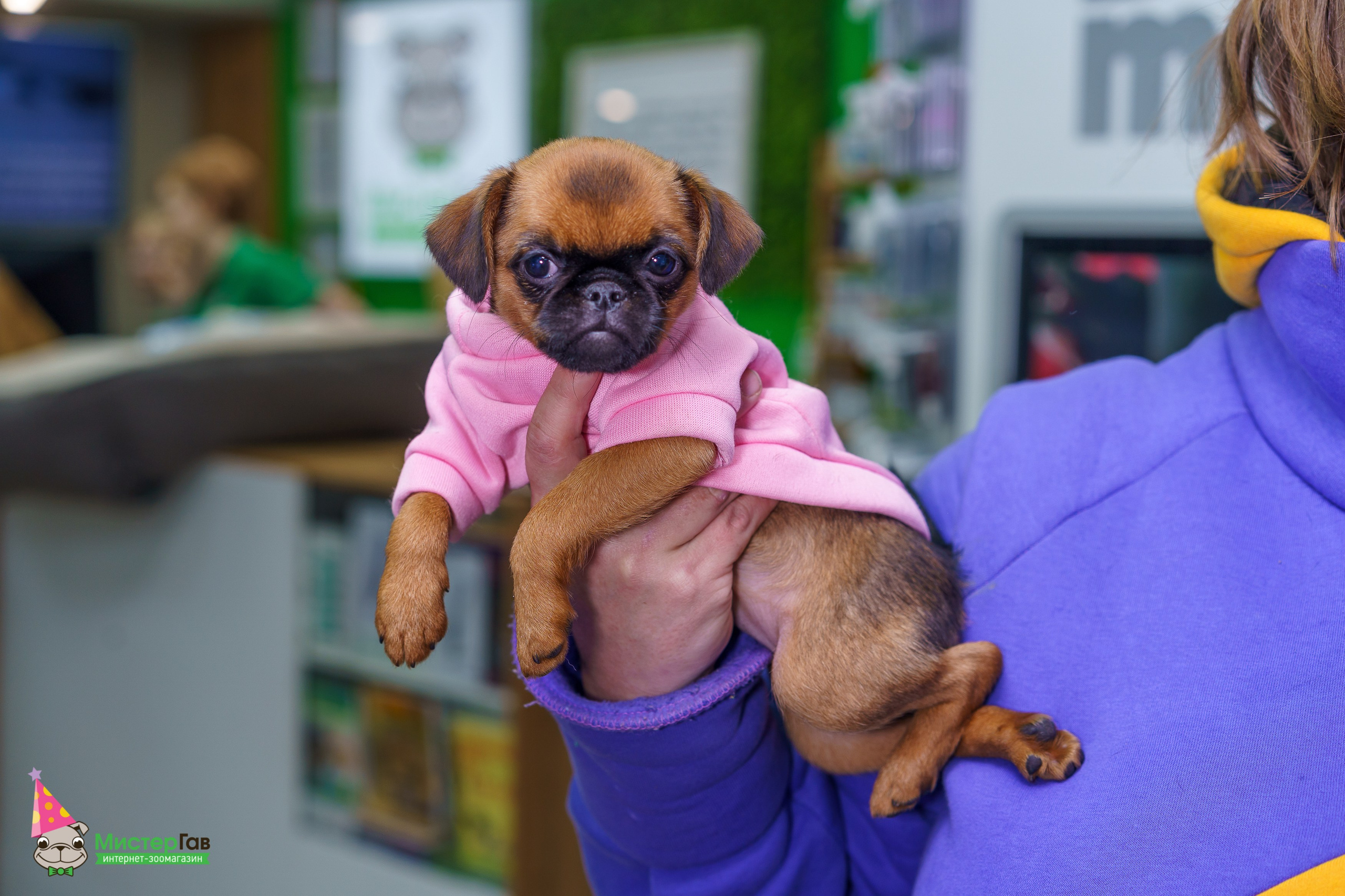 Мистер Гав -13 лет!. Фотограф Челябинск · Ольга Серебрякова