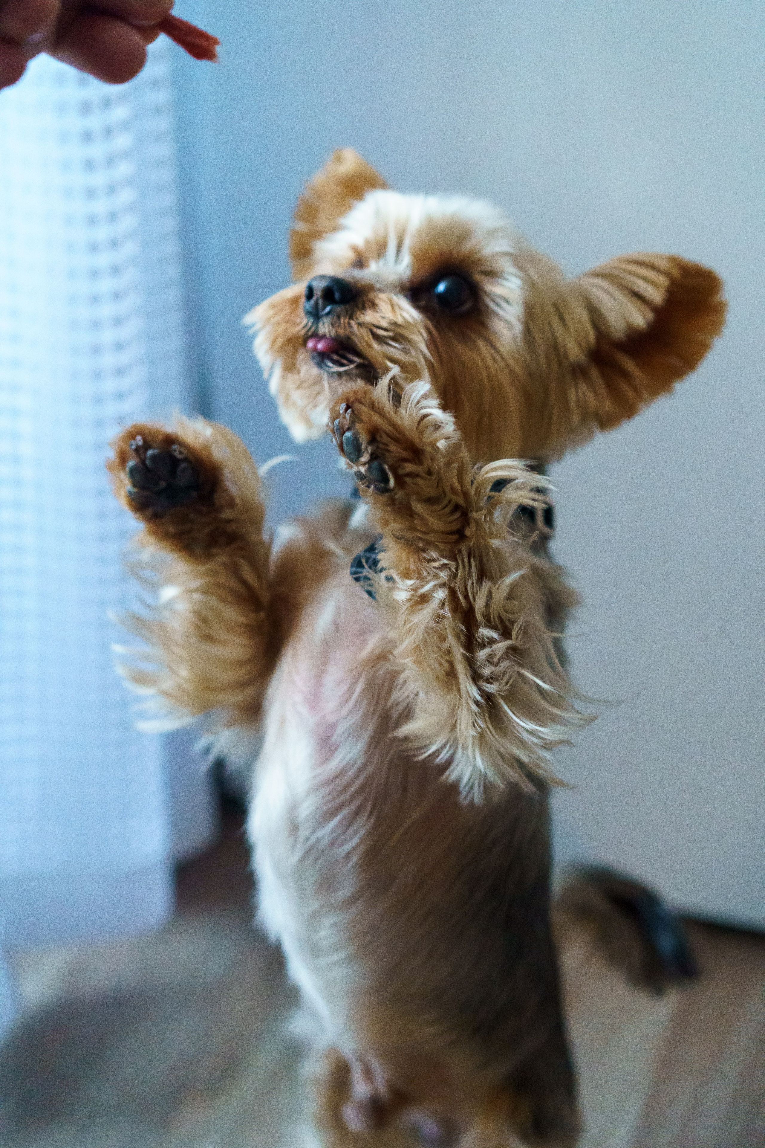 Праздник к нам пришёл!. Фотограф Челябинск · Ольга Серебрякова