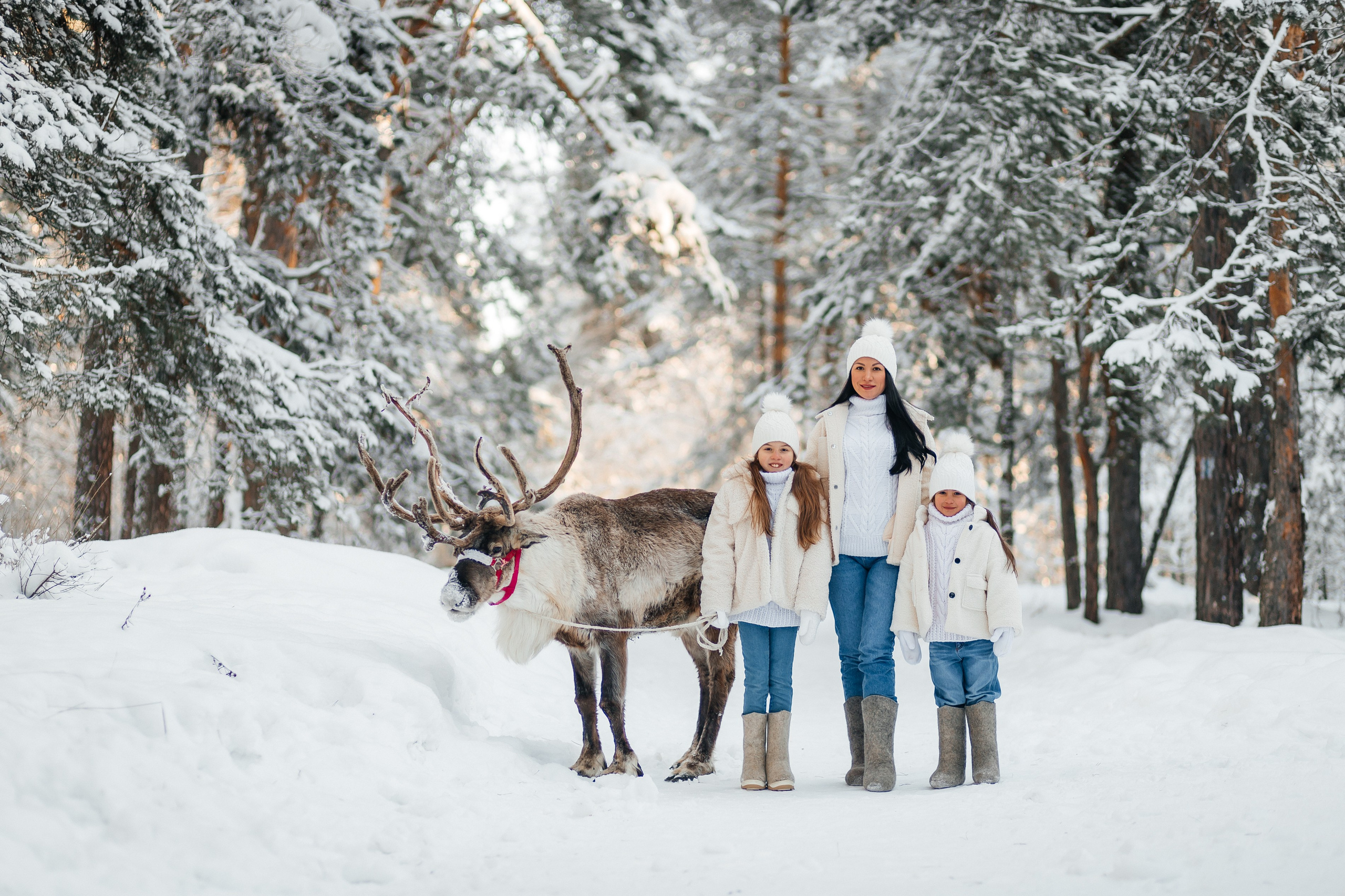 СЕВЕРНЫЙ ОЛЕНЬ. Свадебный и семейный фотограф Динар Гильмутдинов