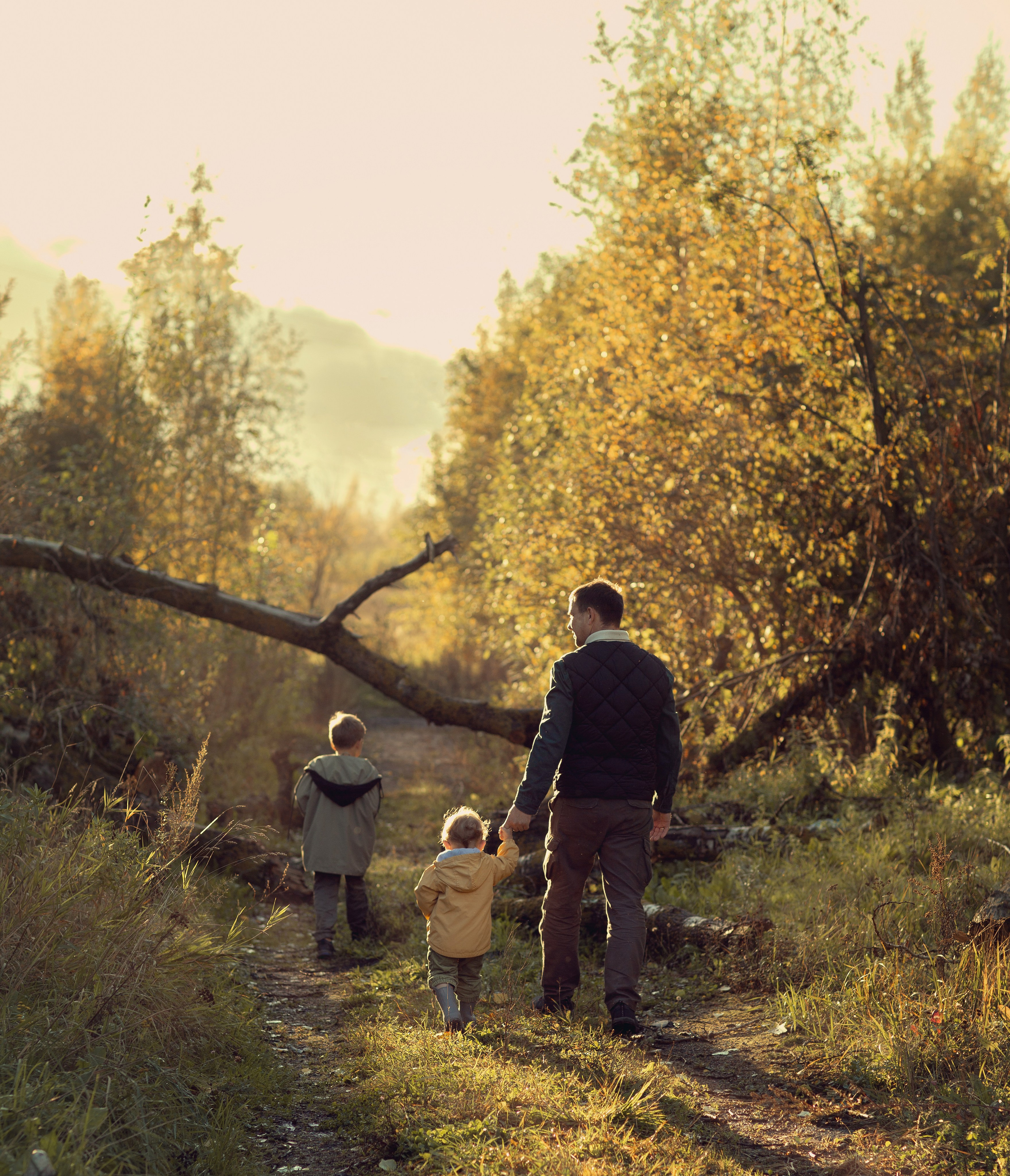 Мои работы. Обо мне