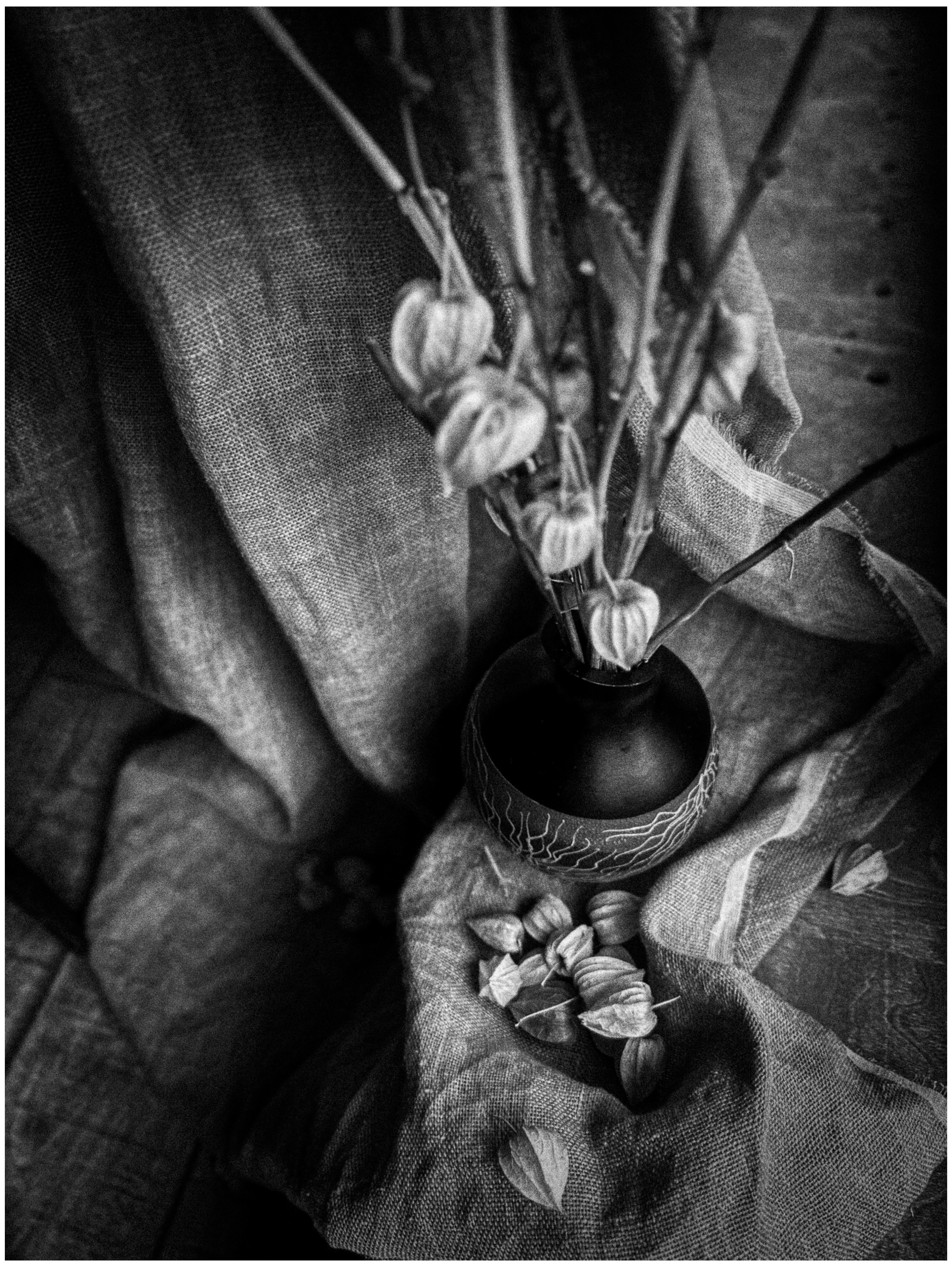 Мобильная фотография. Портретный фотограф Марина Щеглова в Москве