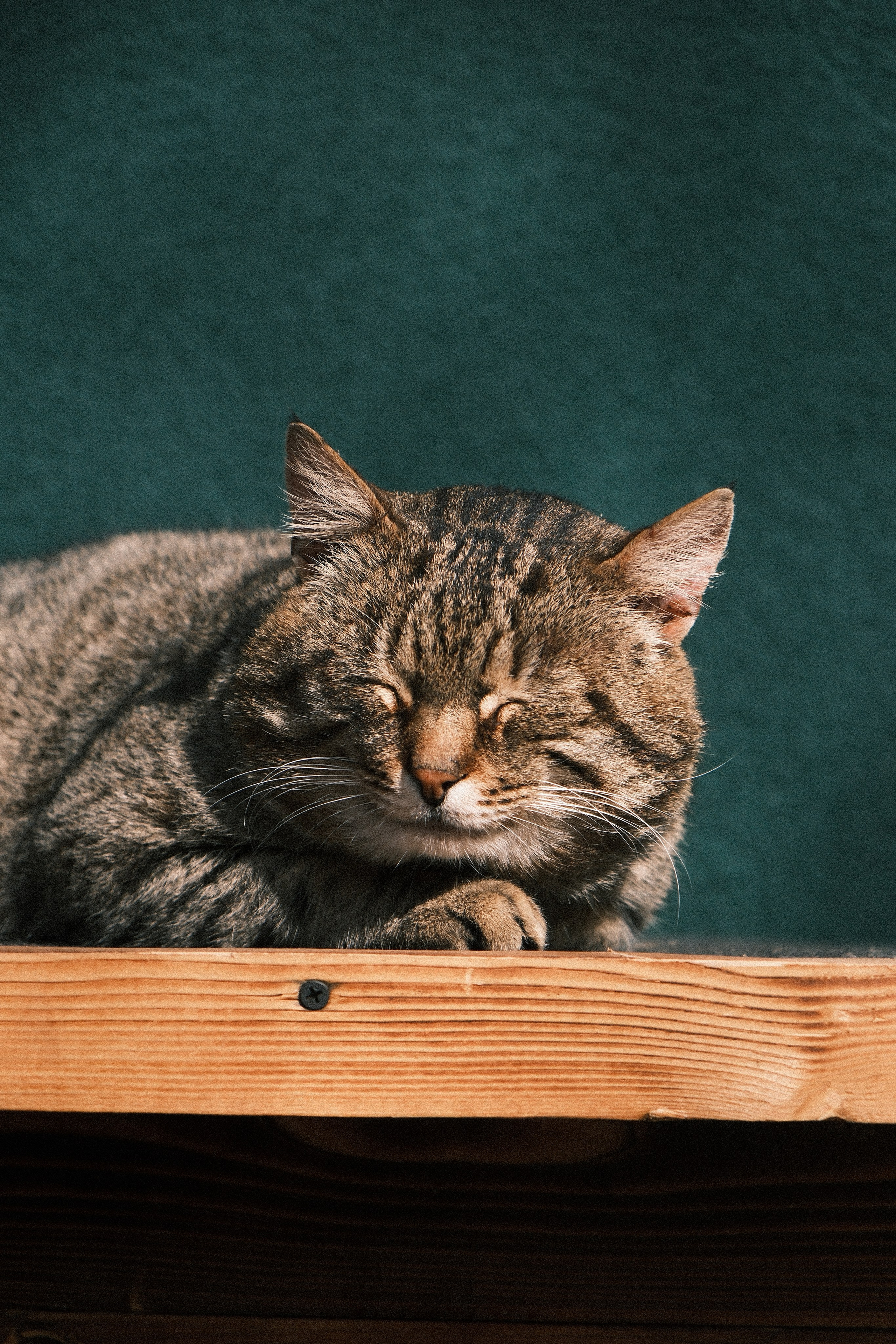 Koenigsberg. M. Neizvestniy — уличная и спортивная фотография