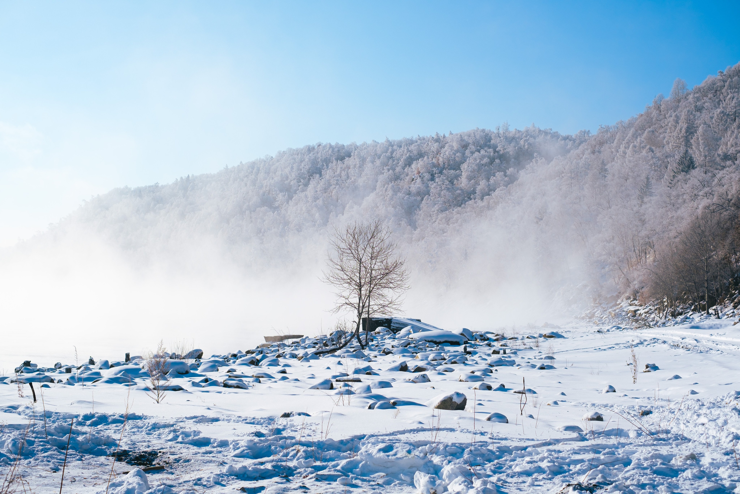 Бурейский тур. Фотограф Благовещенска Яна