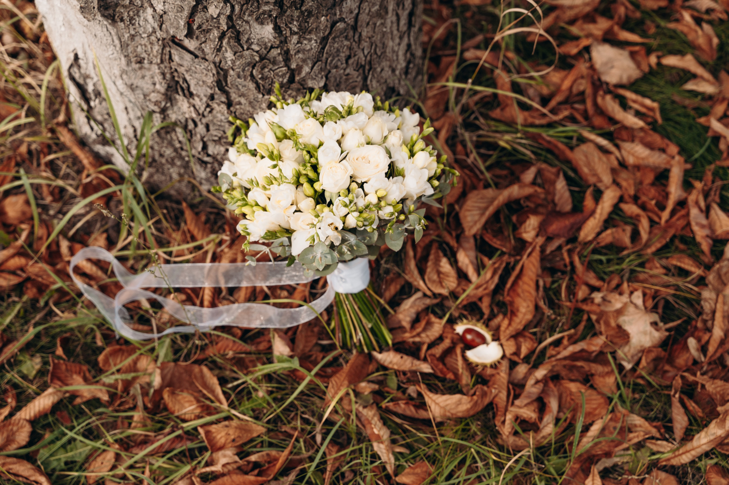 Никита и Лиза. Главная