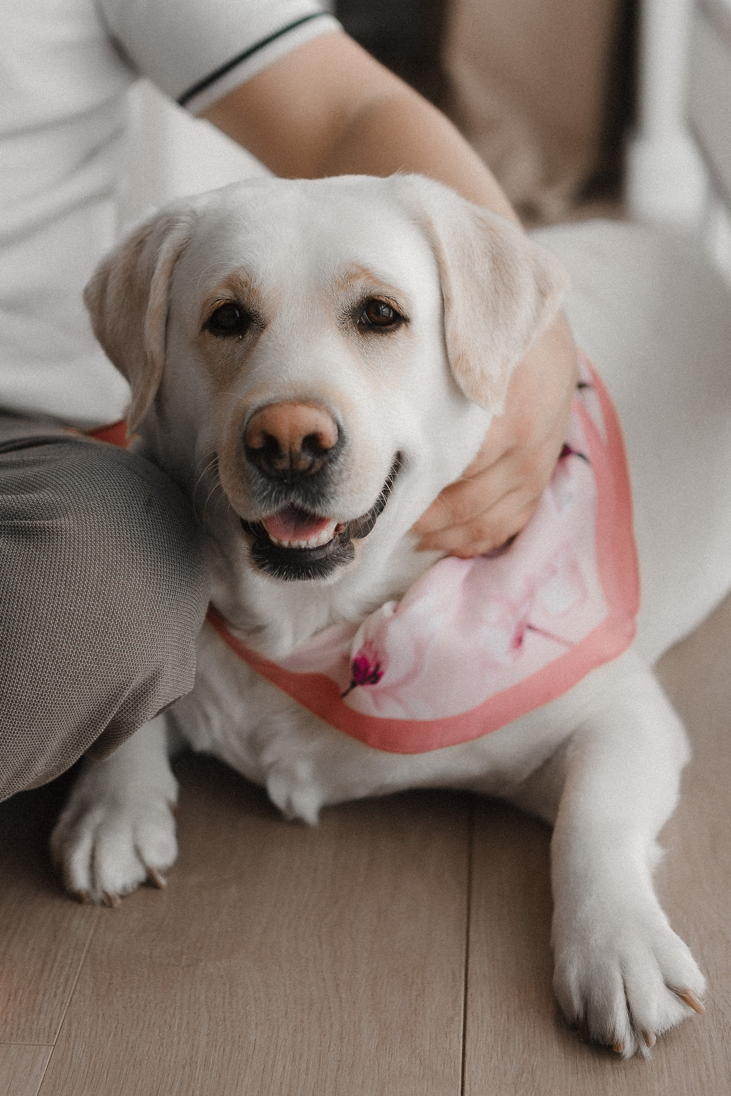 Миле 1 годик. Семейный фотограф в Нижнем Новгороде Доронина Юлия