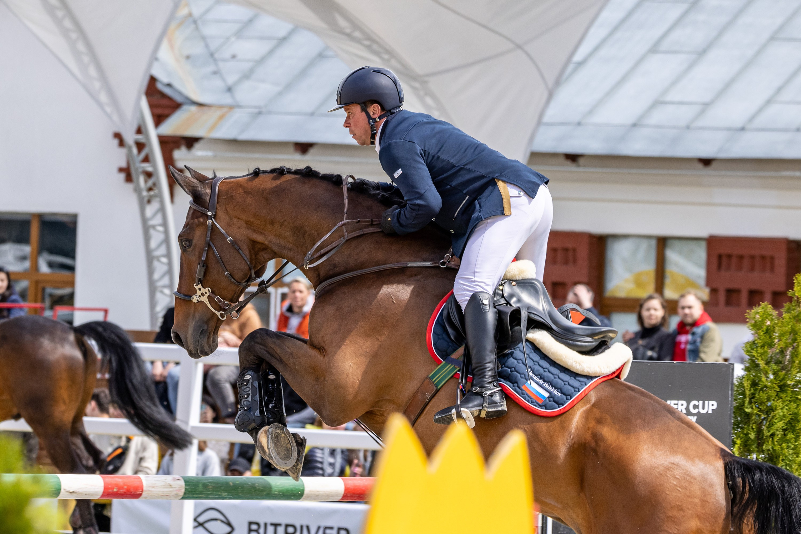 Конкур. Mrs.Aquarelia Конный фотограф Марианна Леонтьева