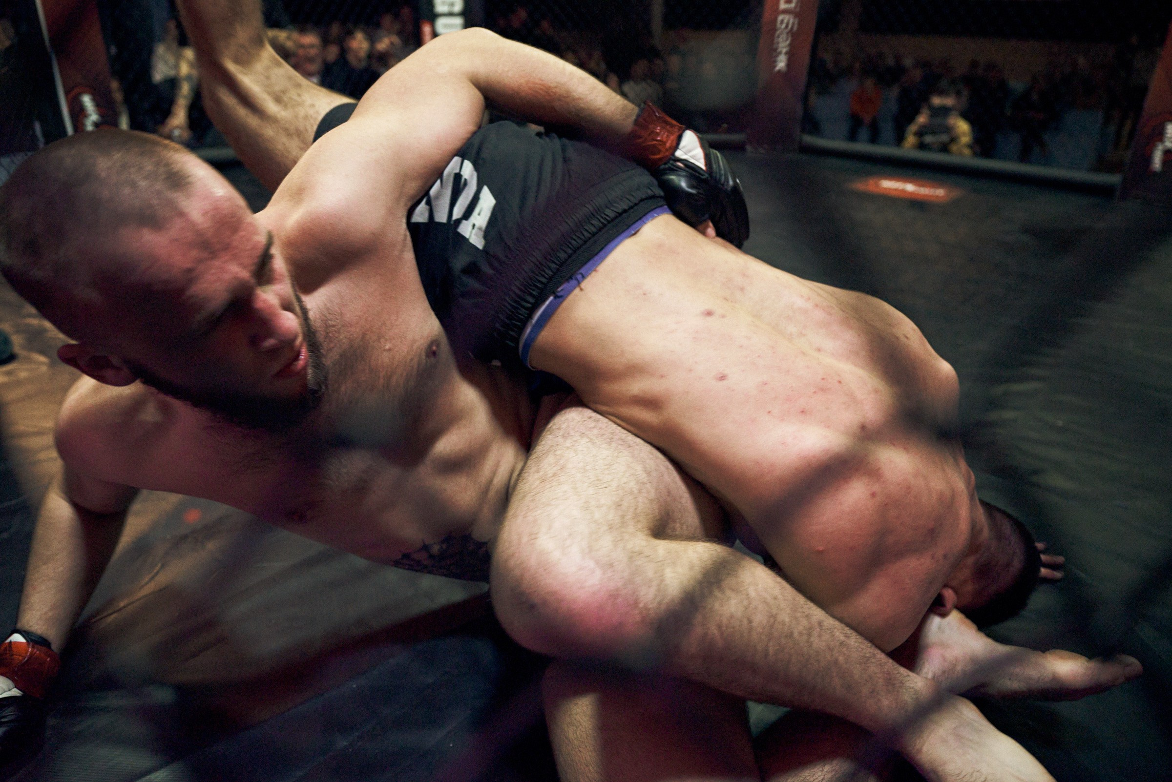 Бои. Маляревич Дмитрий свадебный фотограф