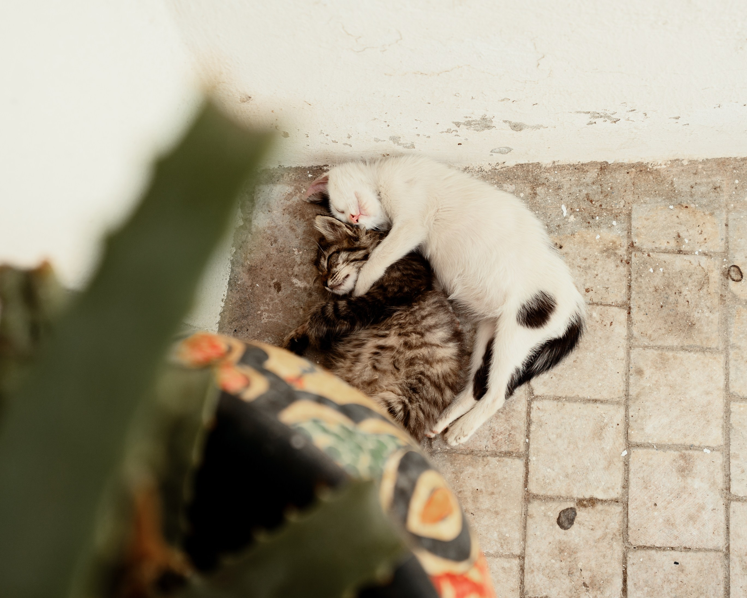 Северная Африка: Тунис, Марокко. Фотограф в Хабаровске. Фотография за 24 часа