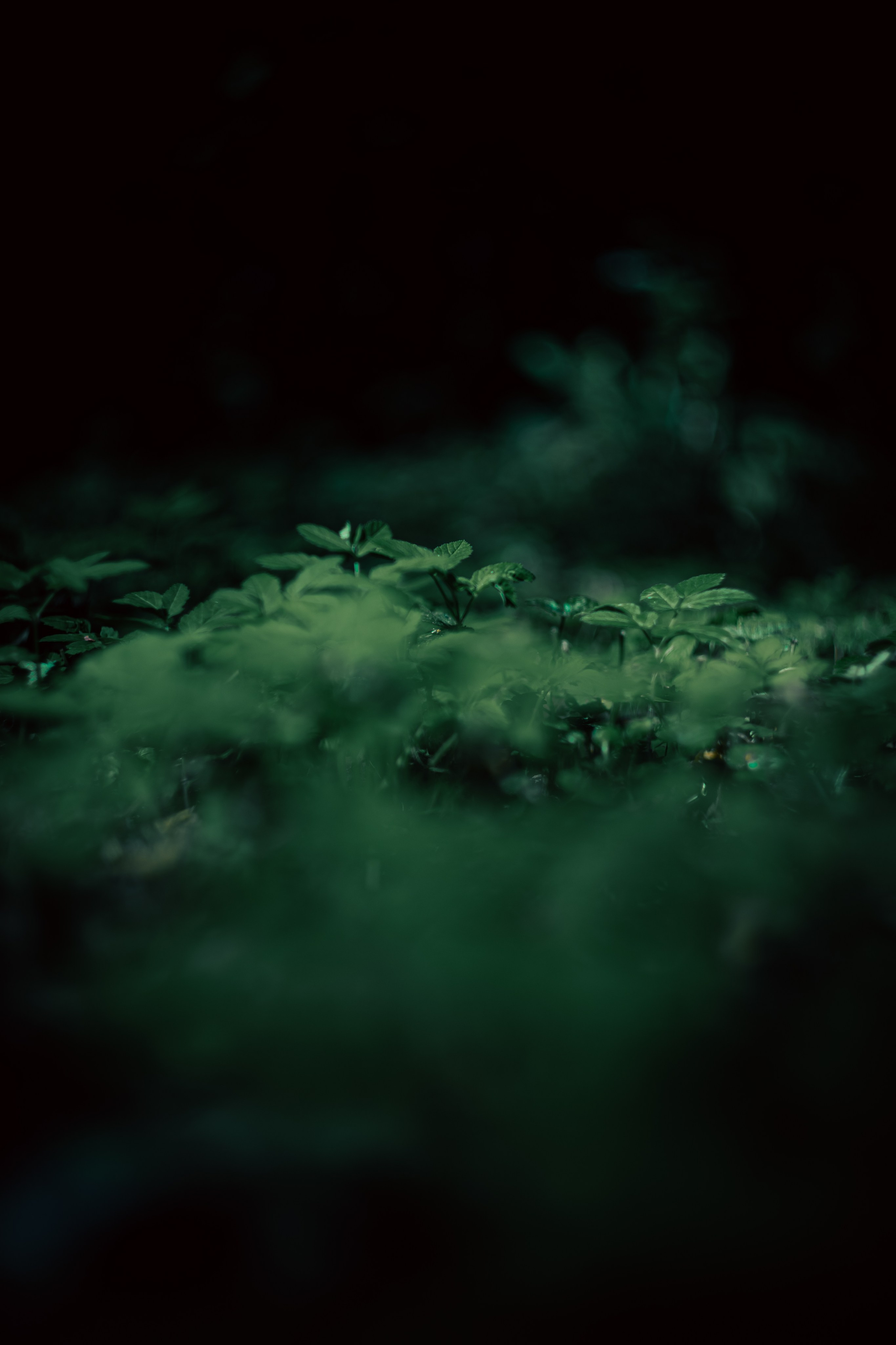 Сентябрь 2024. Efremovaphoto.ru