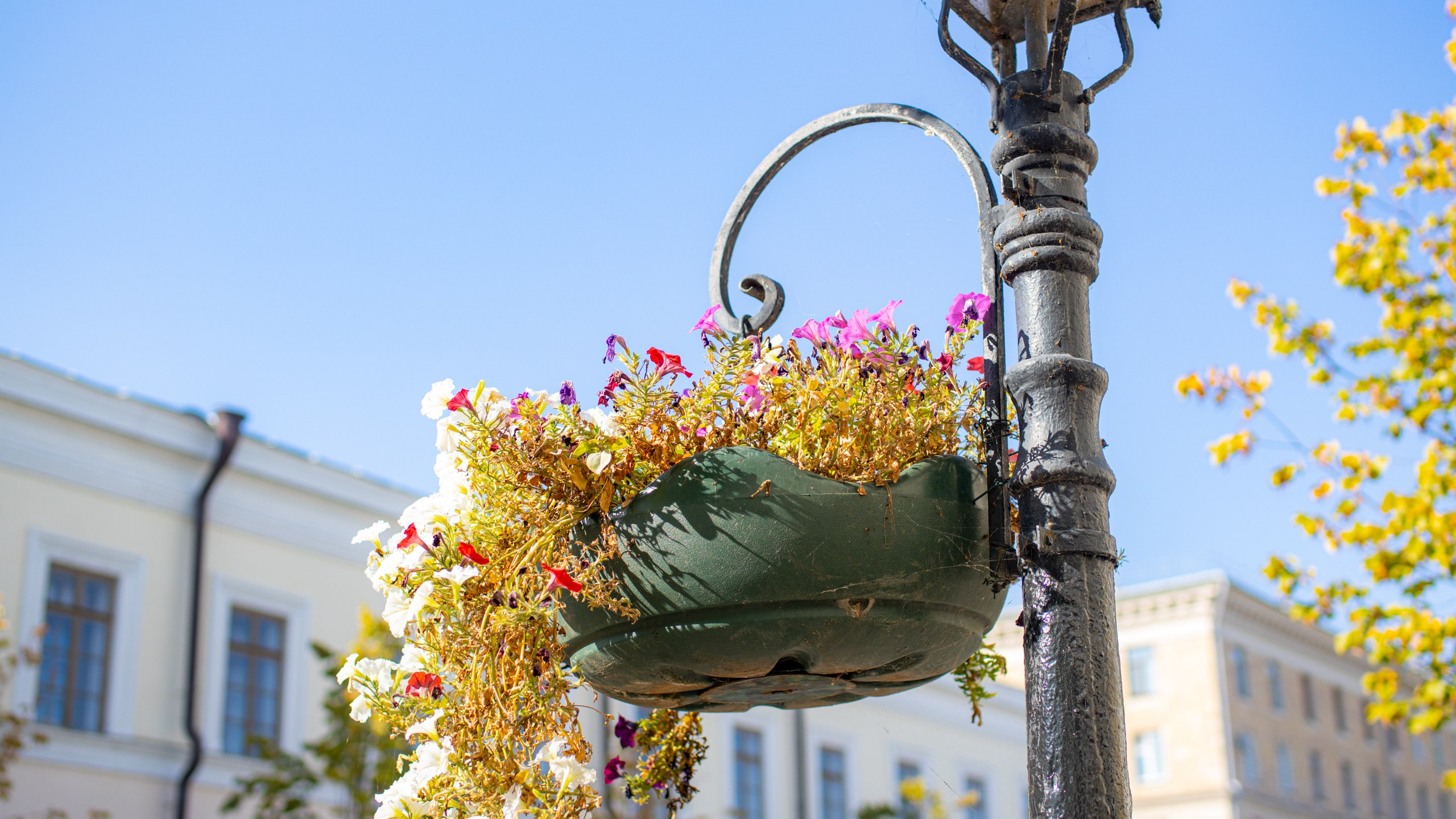 2020 10 Казань. Фотографии