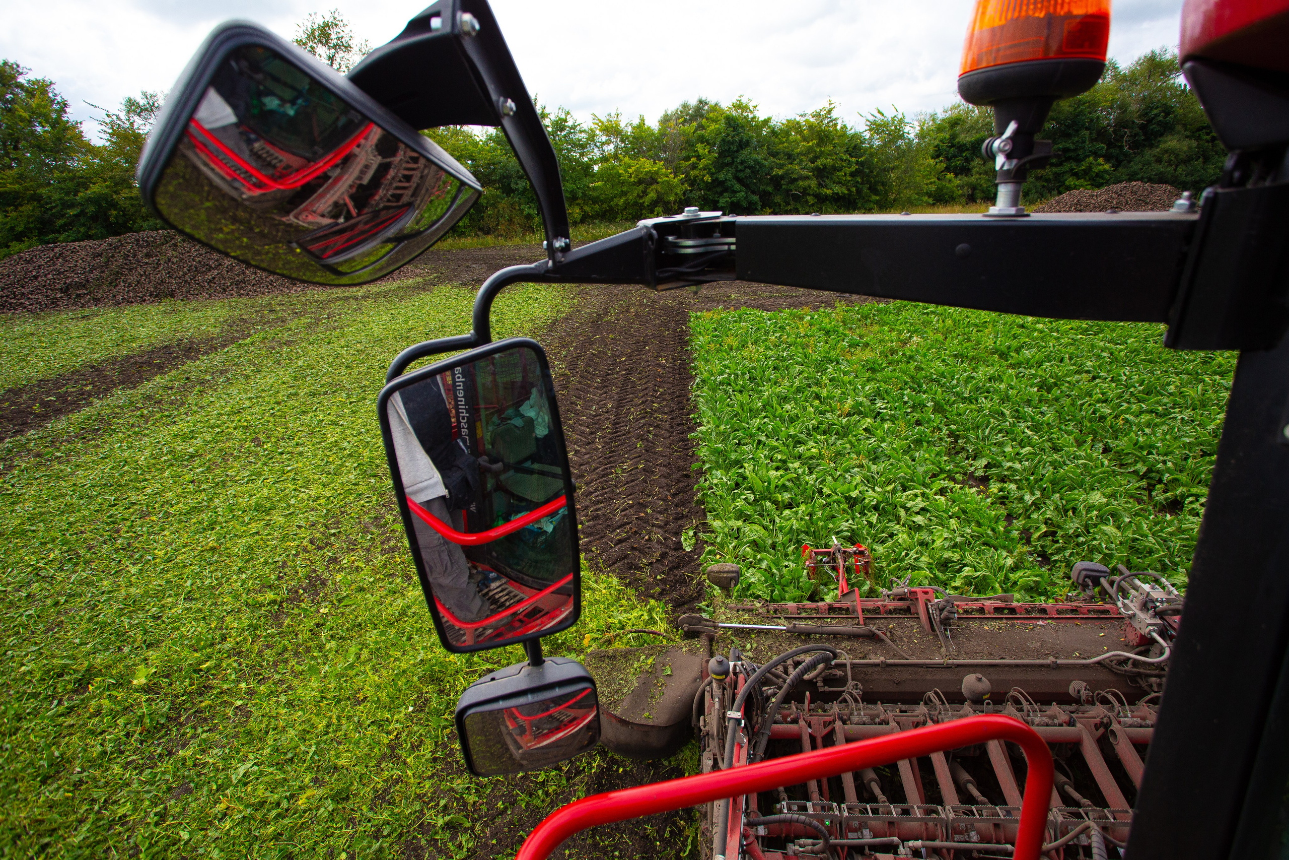 Уборка сахарной свеклы