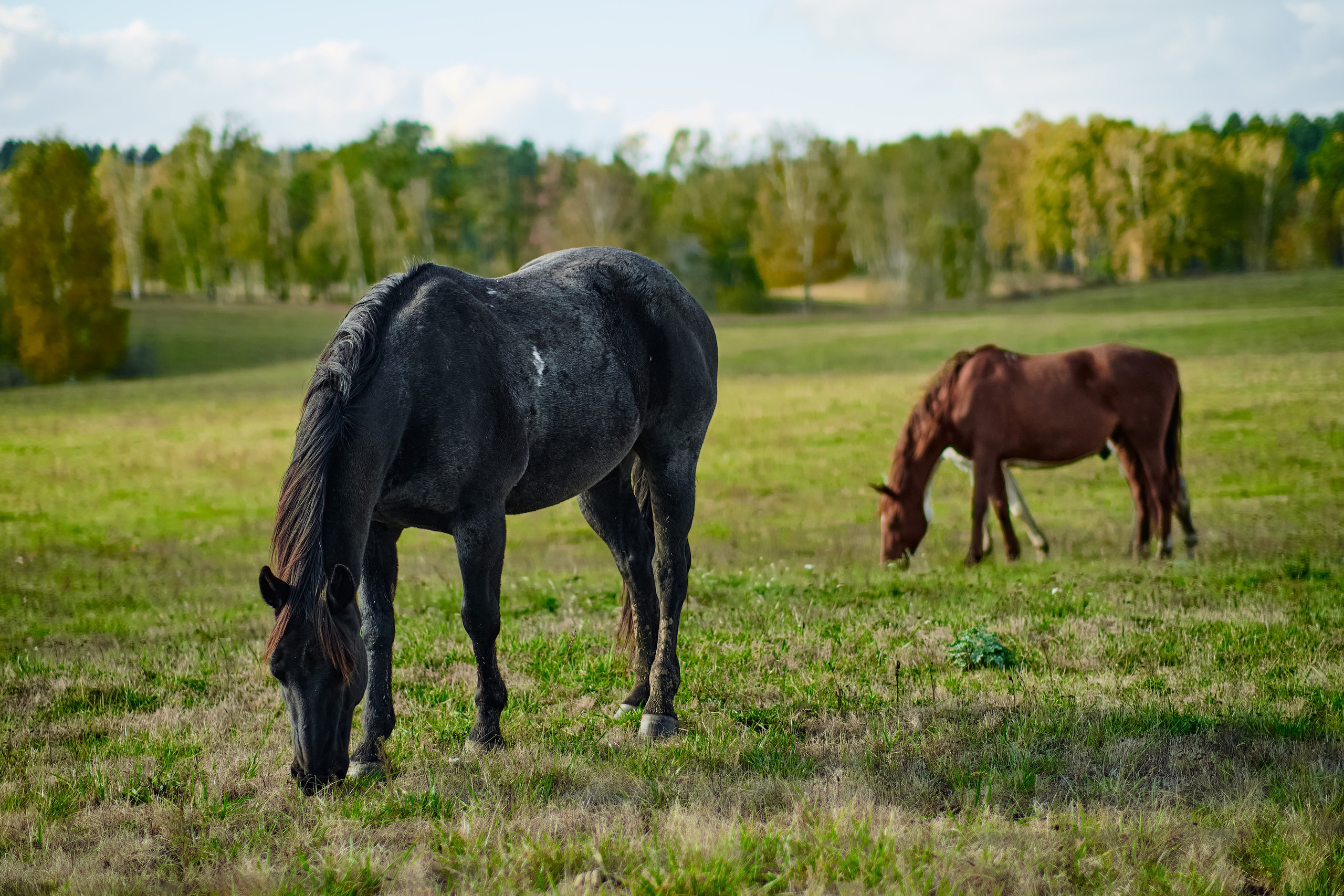 Фотограф на мероприятие. Light Media — креативный видеопродакшн