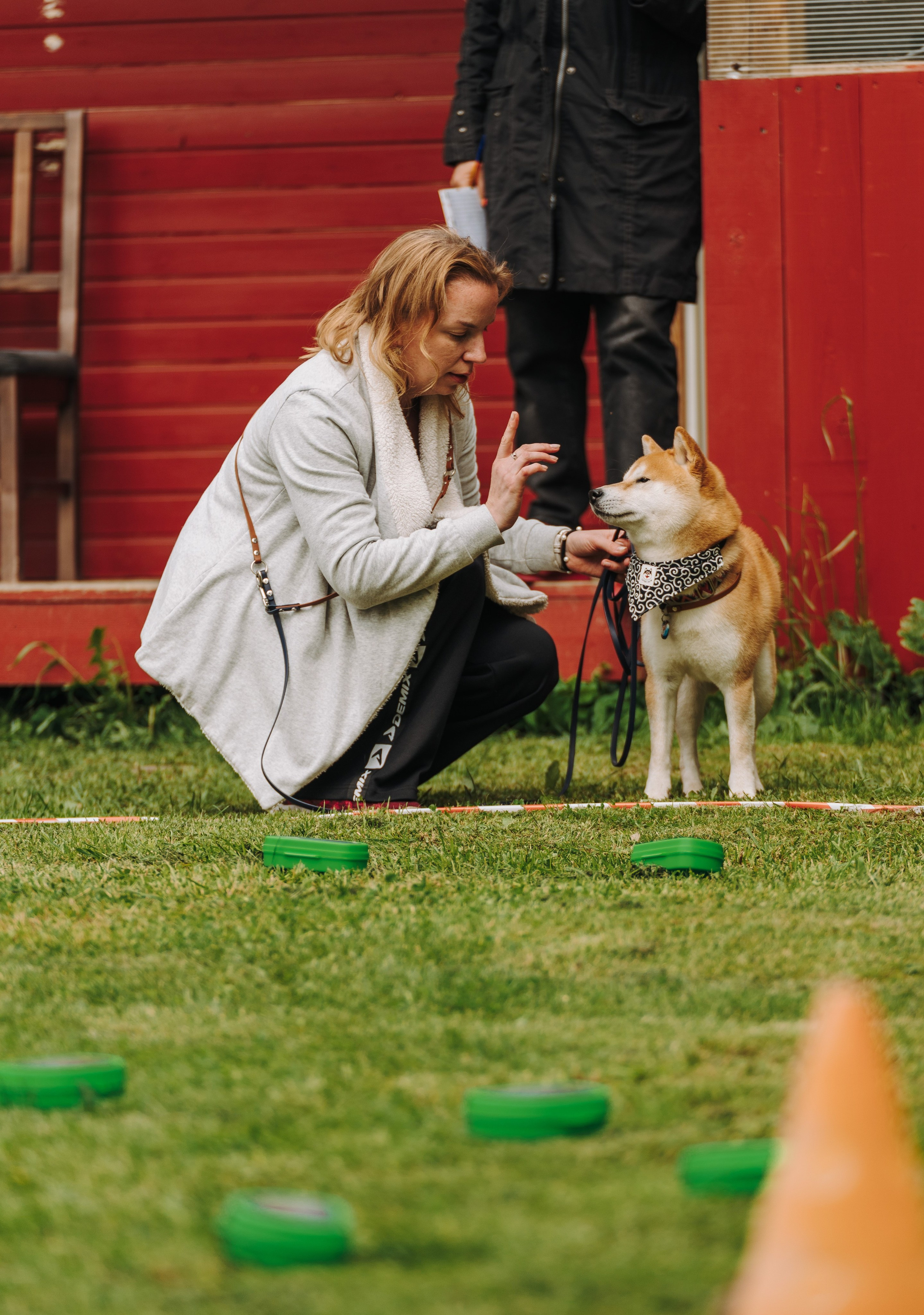 Соревнования по ноузворку. Фотограф анималист в Спб недорого Олеся Майорова