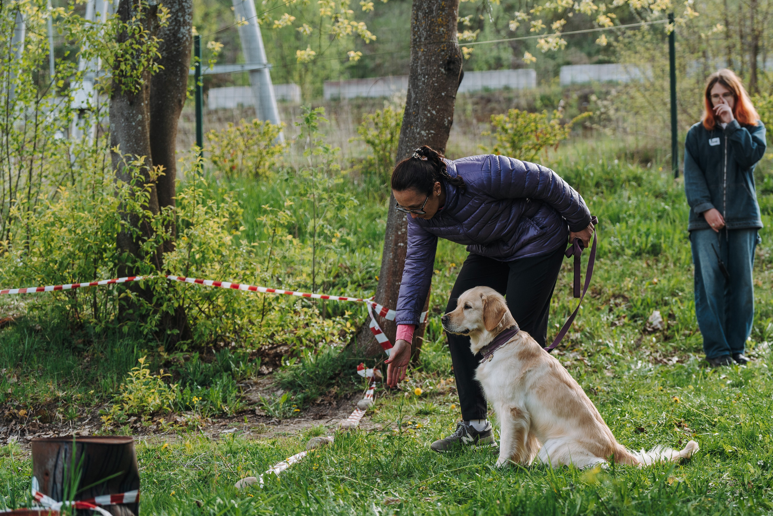 Соревнования по ноузворку в Лосево. Фотограф анималист в Спб недорого Олеся Майорова