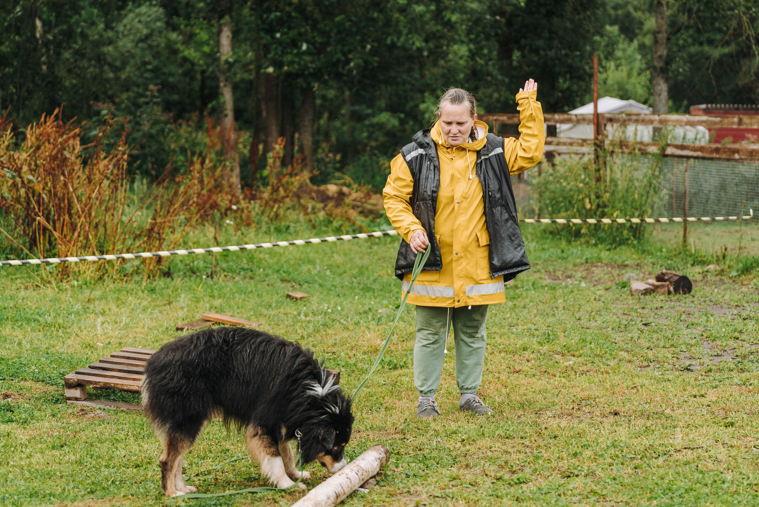 Соревнования по ноузворку в Новожилово. Фотограф анималист в Спб недорого Олеся Майорова