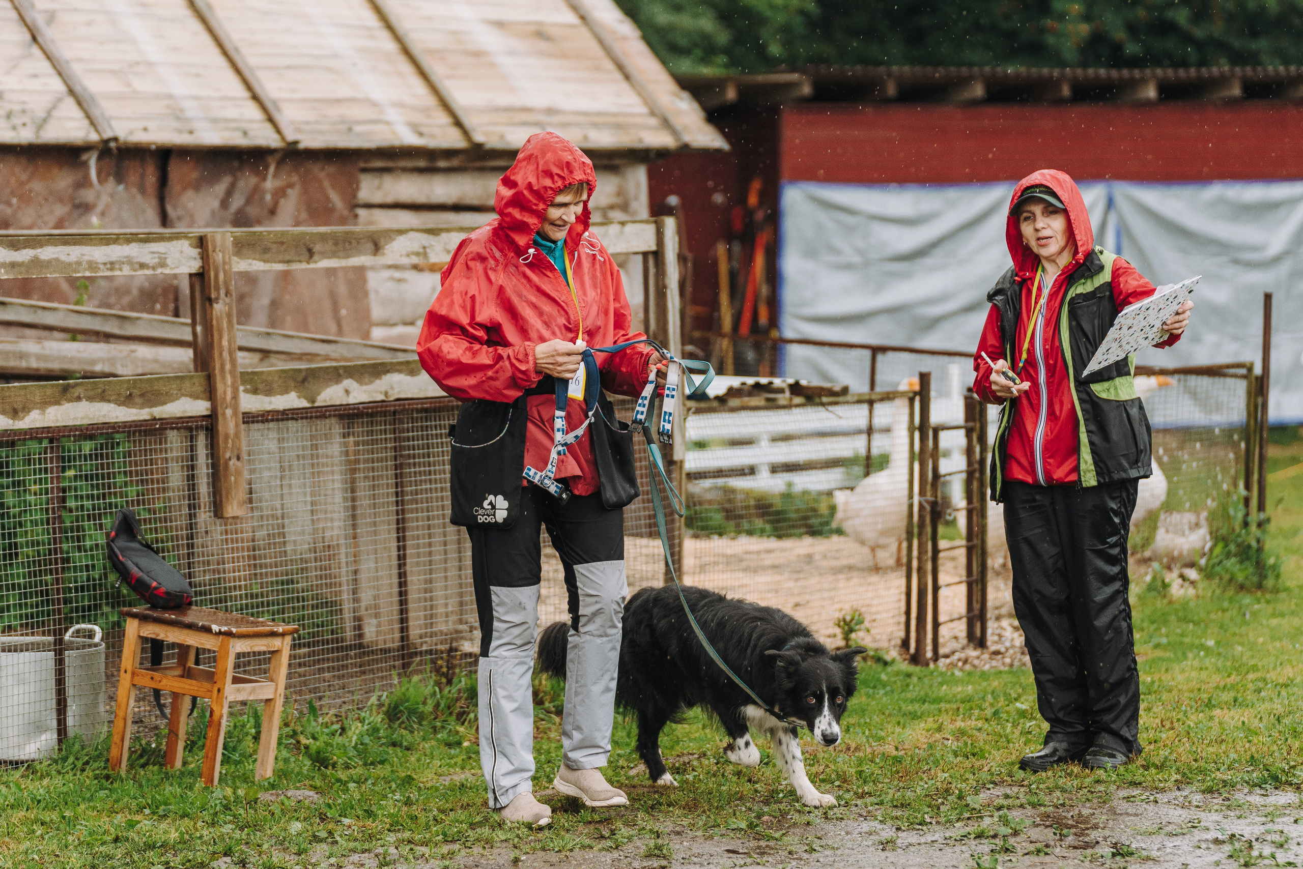 Соревнования по ноузворку в Новожилово. Фотограф анималист в Спб недорого Олеся Майорова