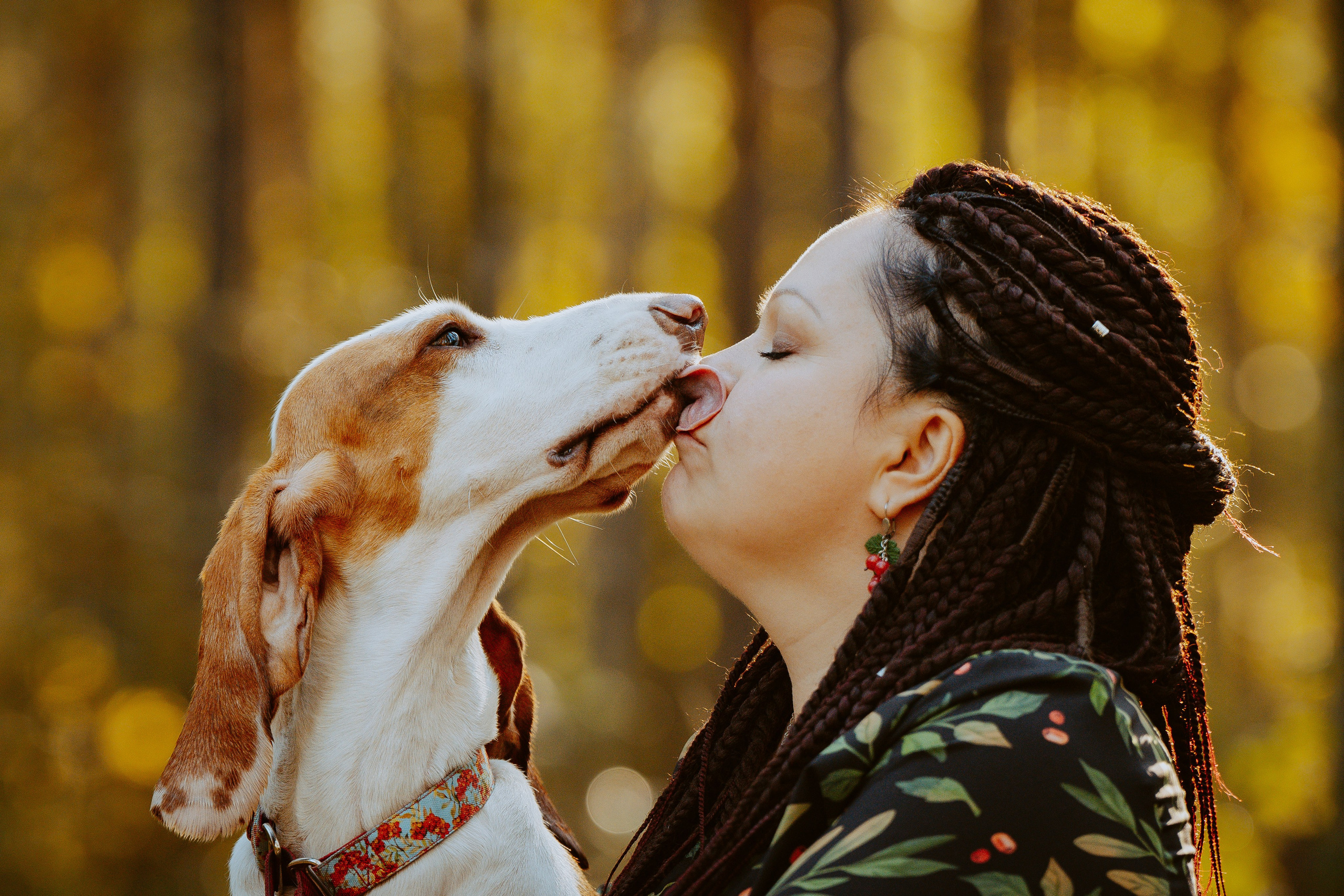Ольга, Рора и Румпель. Фотограф анималист в Спб недорого Олеся Майорова