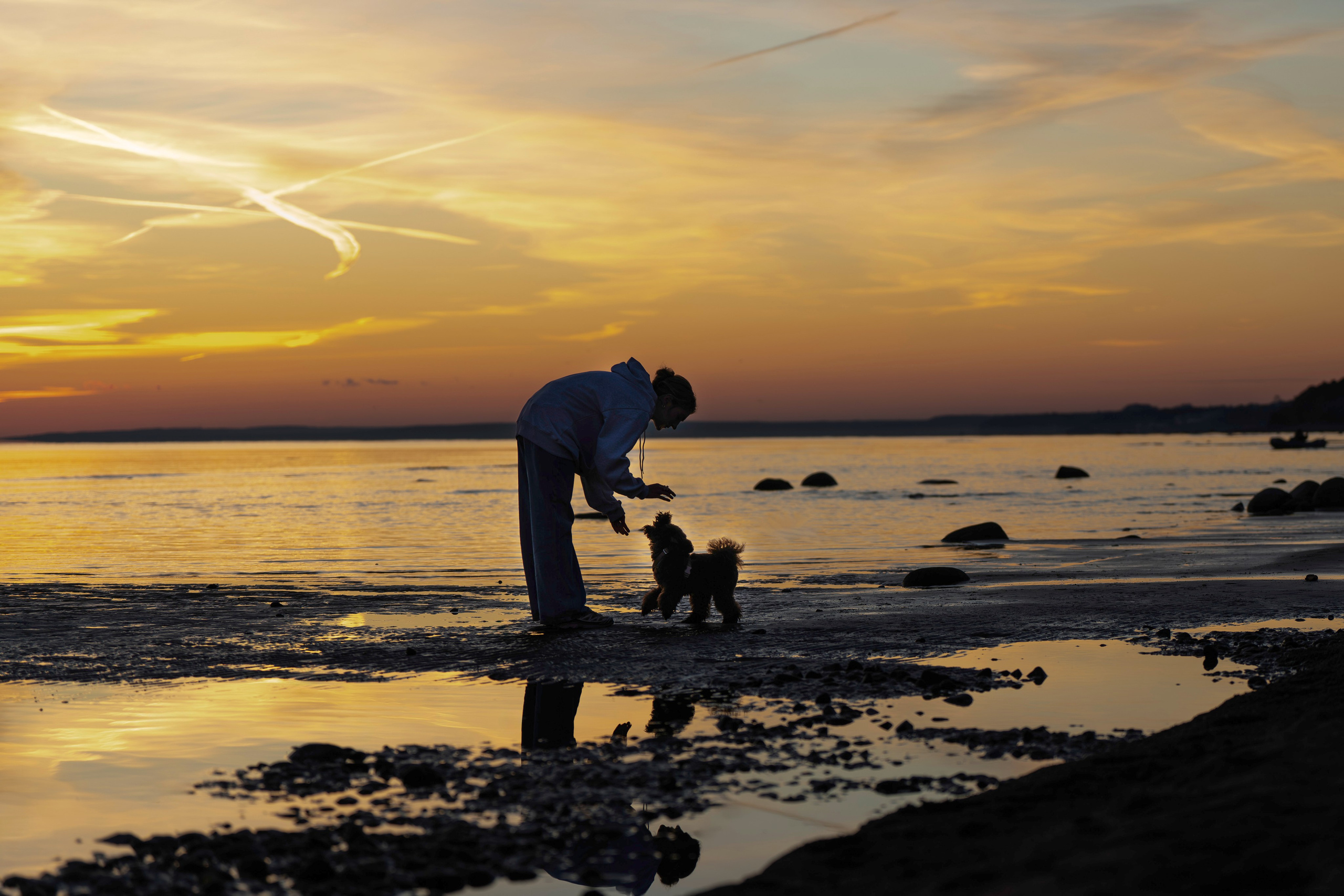 Фотосессия девушки с пуделем на пляже на закате. Фотограф анималист в Спб недорого Олеся Майорова