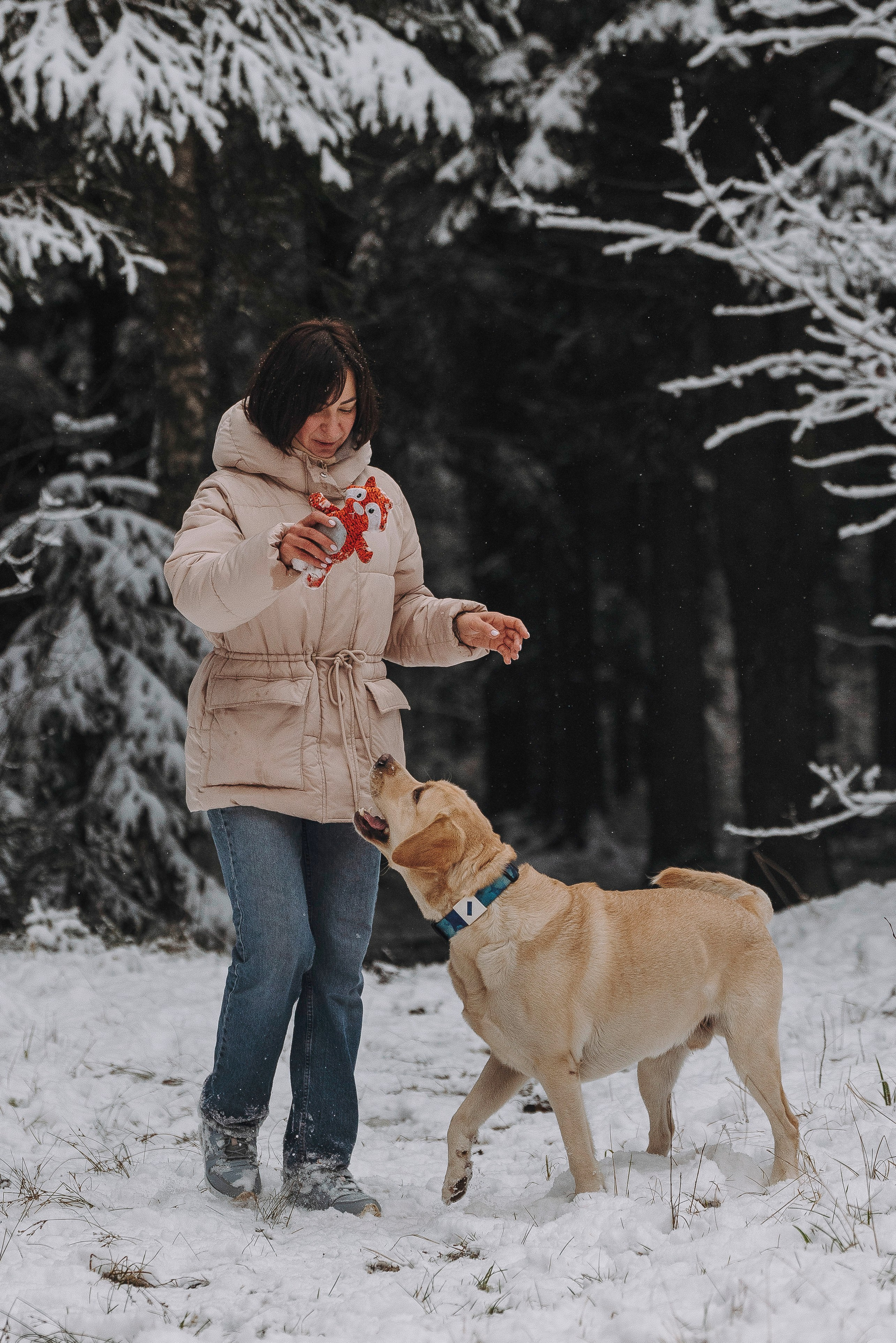 Аня и Честер. Фотограф анималист в Спб недорого Олеся Майорова