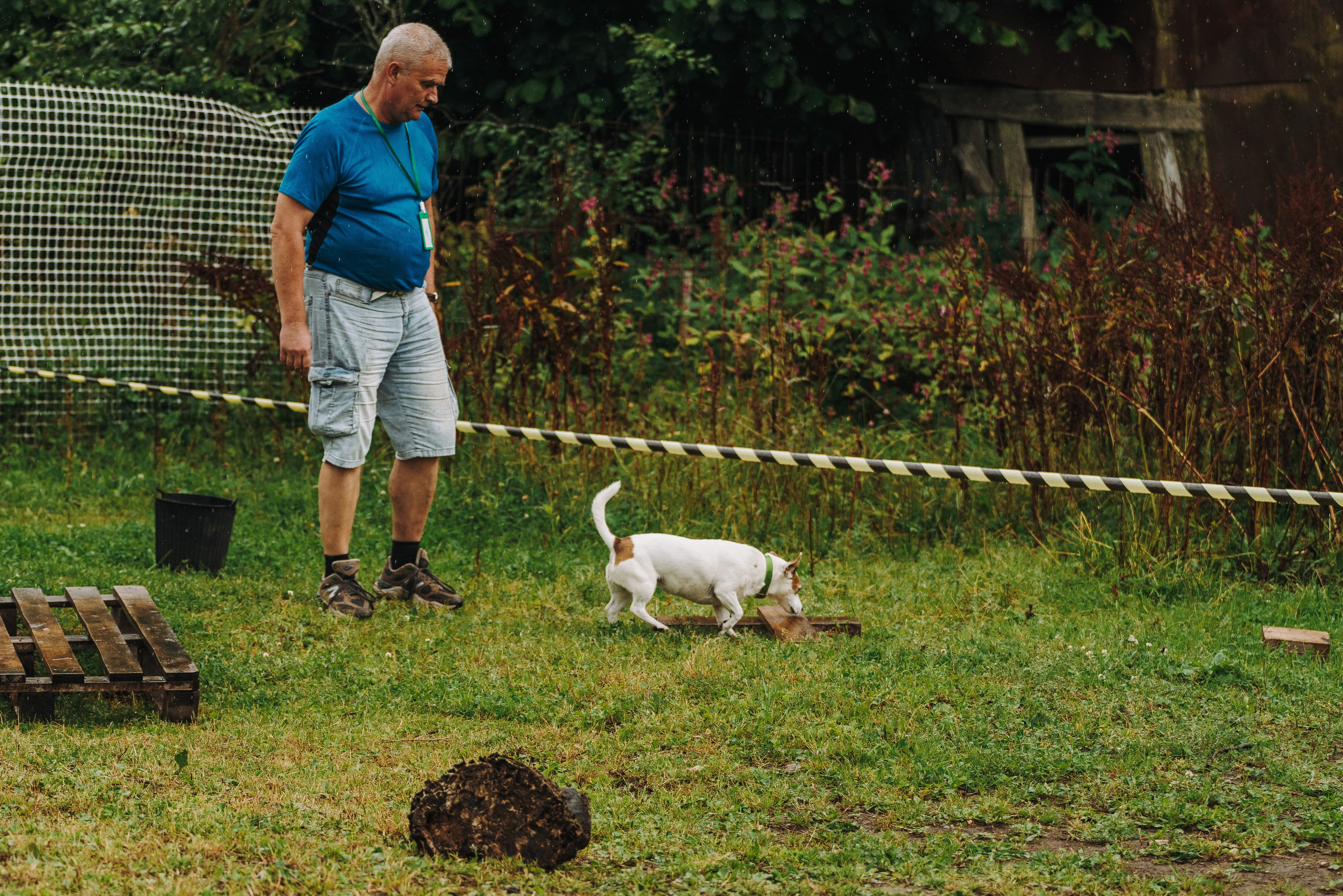Соревнования по ноузворку в Новожилово. Фотограф анималист в Спб недорого Олеся Майорова