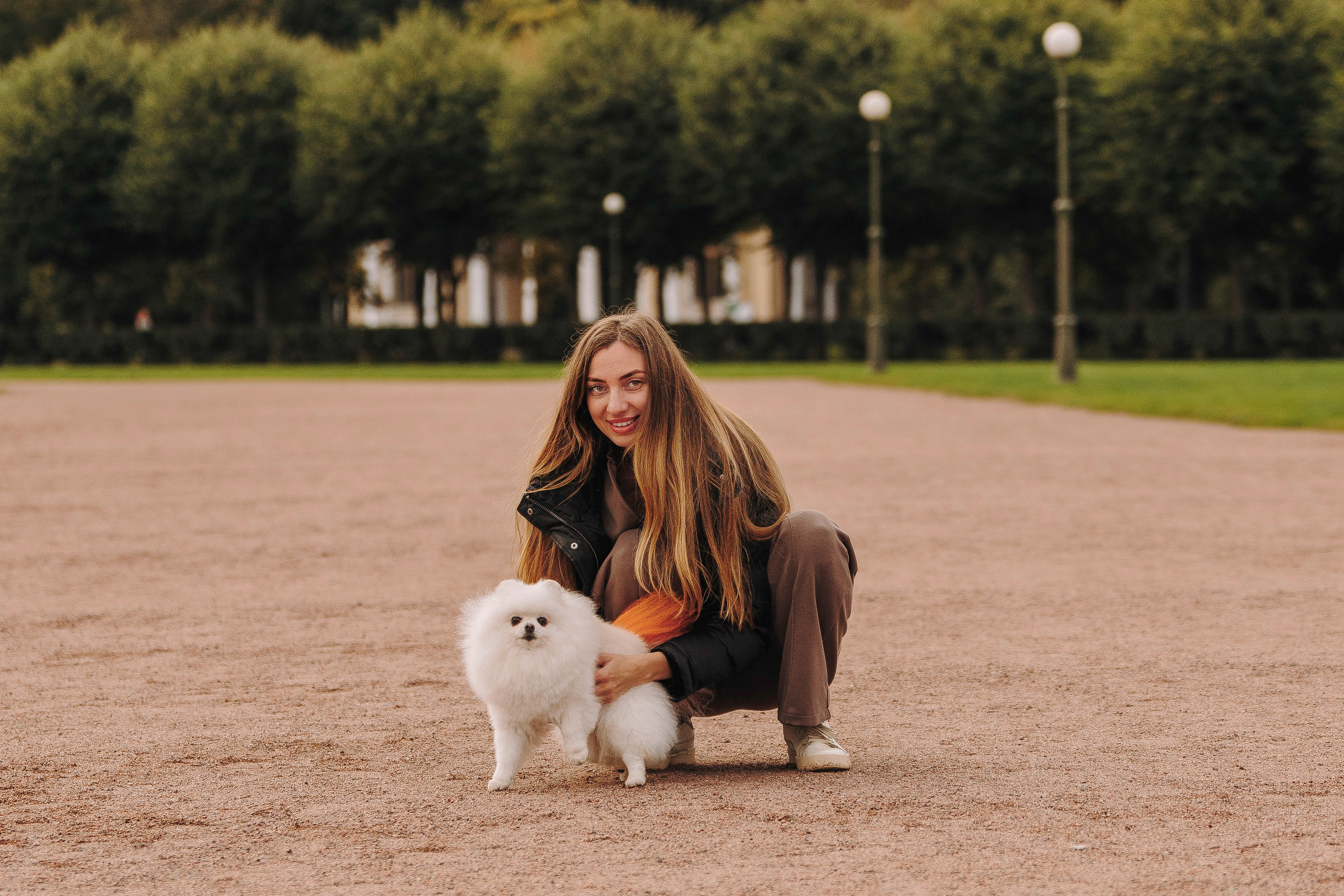 Фотосессия с померанским шпицем. Фотограф анималист в Спб недорого Олеся Майорова