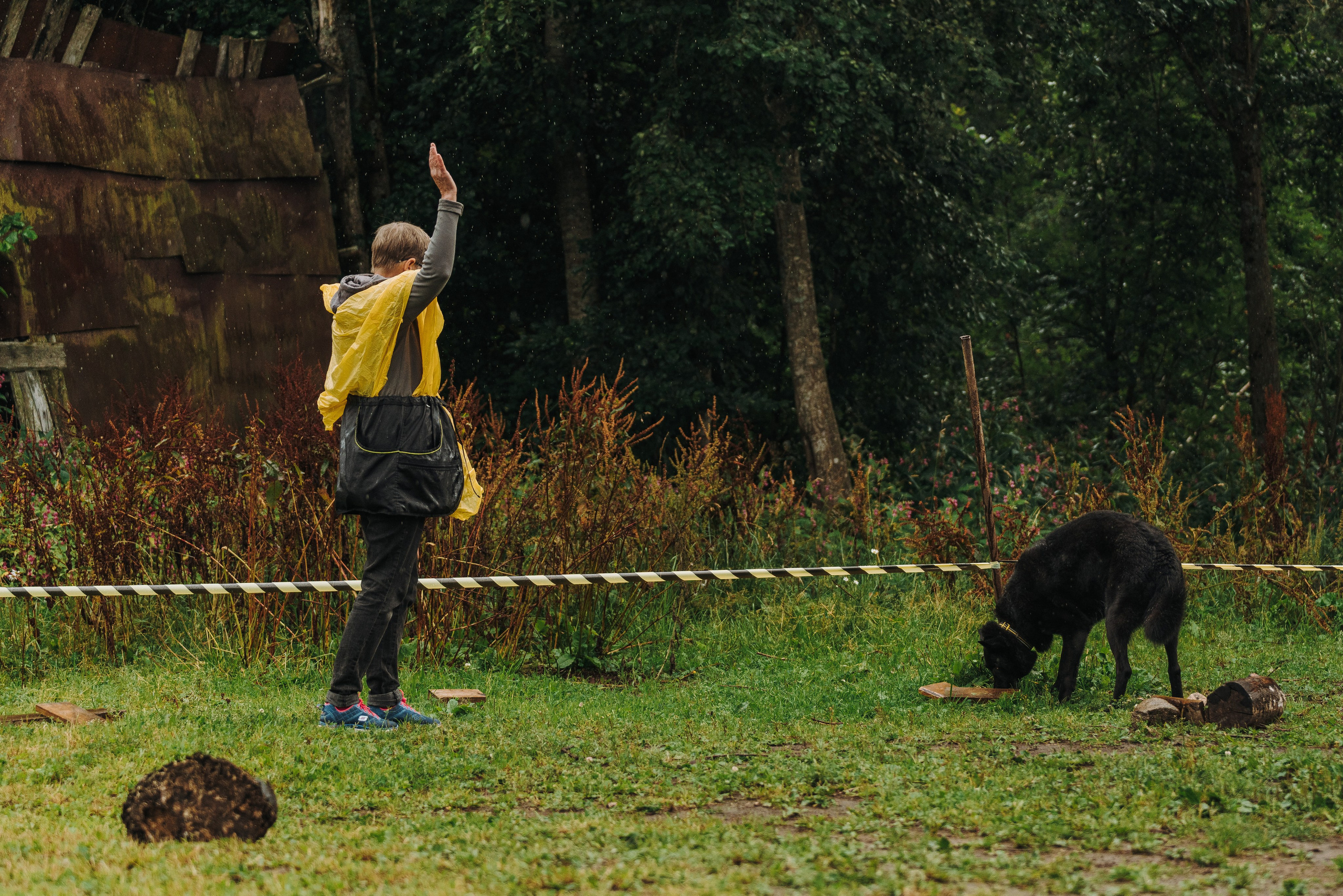 Соревнования по ноузворку в Новожилово. Фотограф анималист в Спб недорого Олеся Майорова