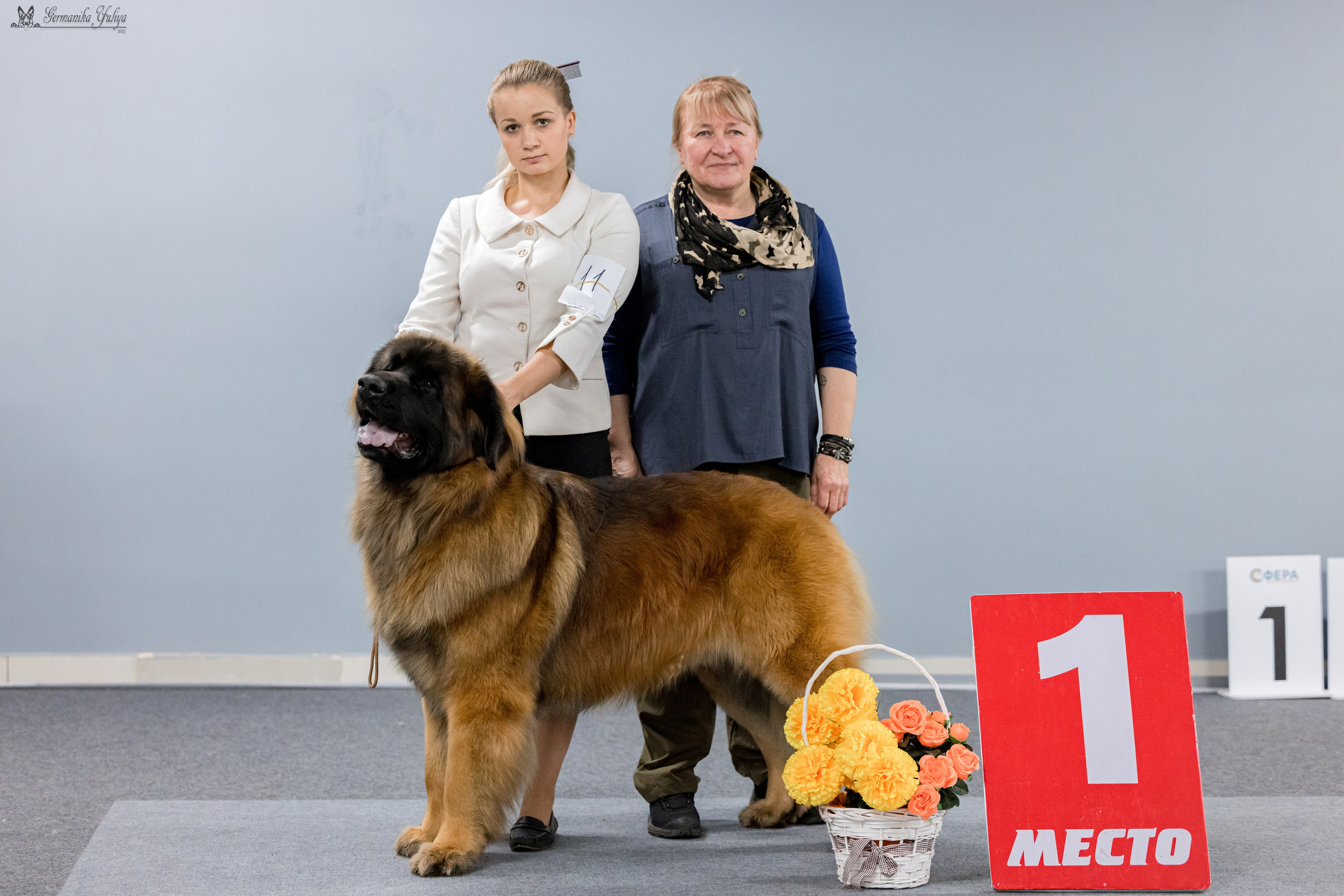 Сфера 29.10,Крокус 4.11,Сфера 12.11.2023. Фотограф-анималист Юлия Германика