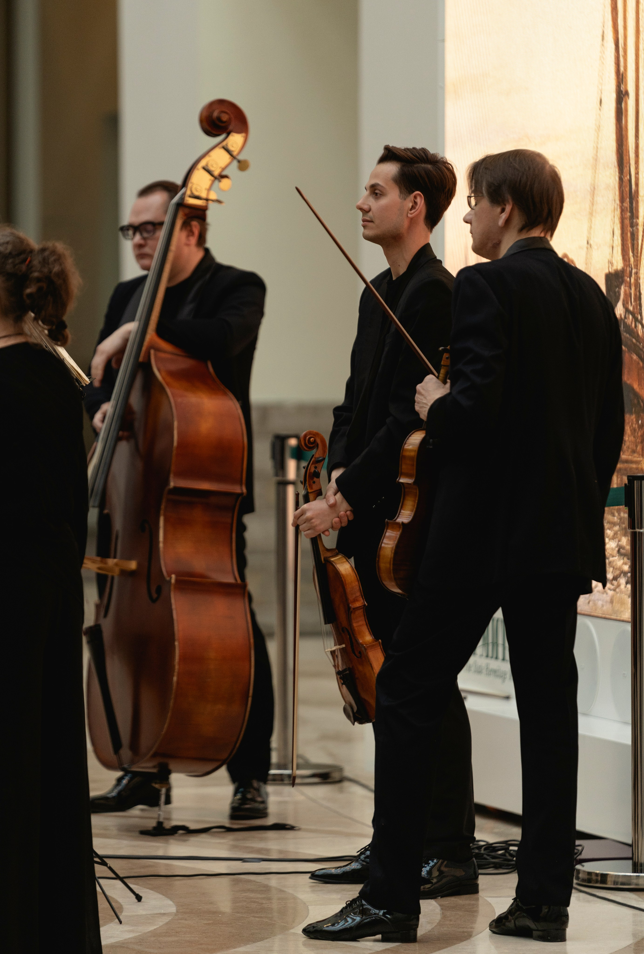 The State Hermitage Museum. Divertissement Chamber Orchestra. Фотограф Ирина Соколенко Санкт-Петербург