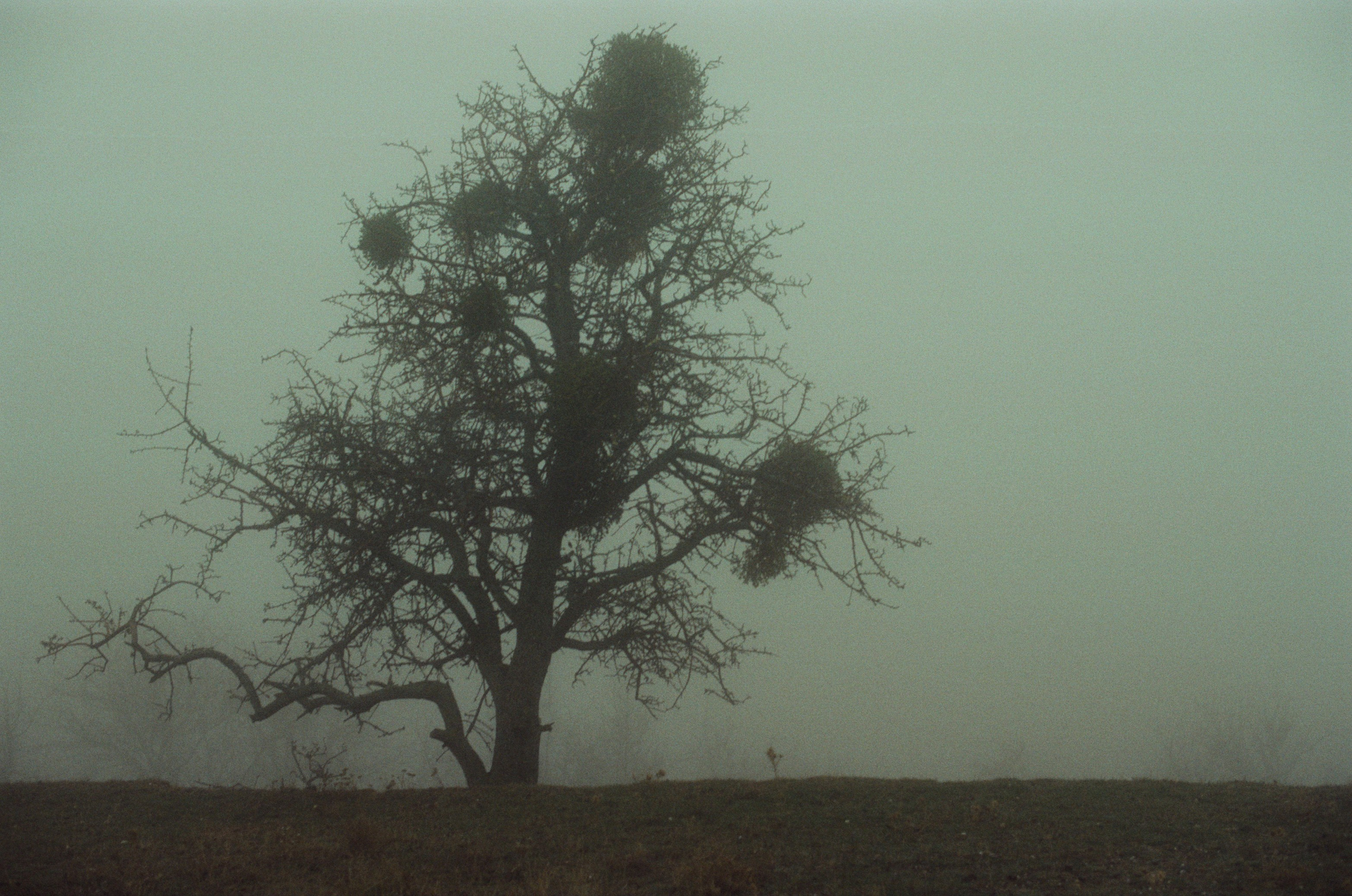 I o u // ukraine, crimea. EVER EXPOSED