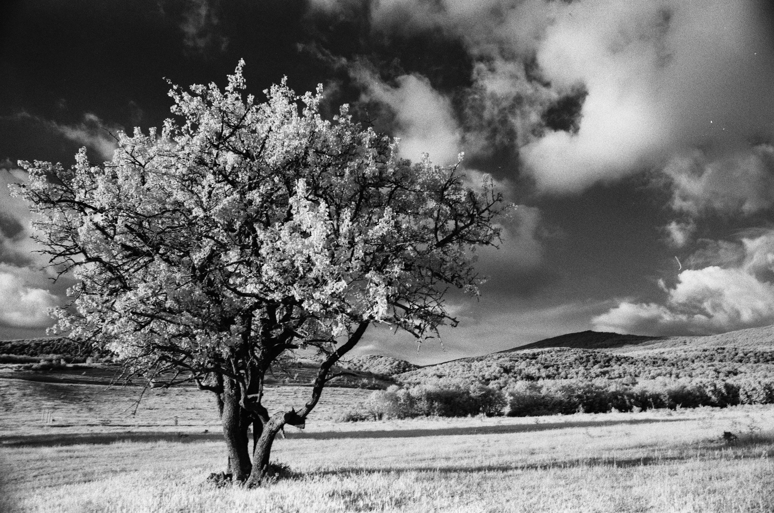 Point of no reply // ukraine, crimea V. EVER EXPOSED