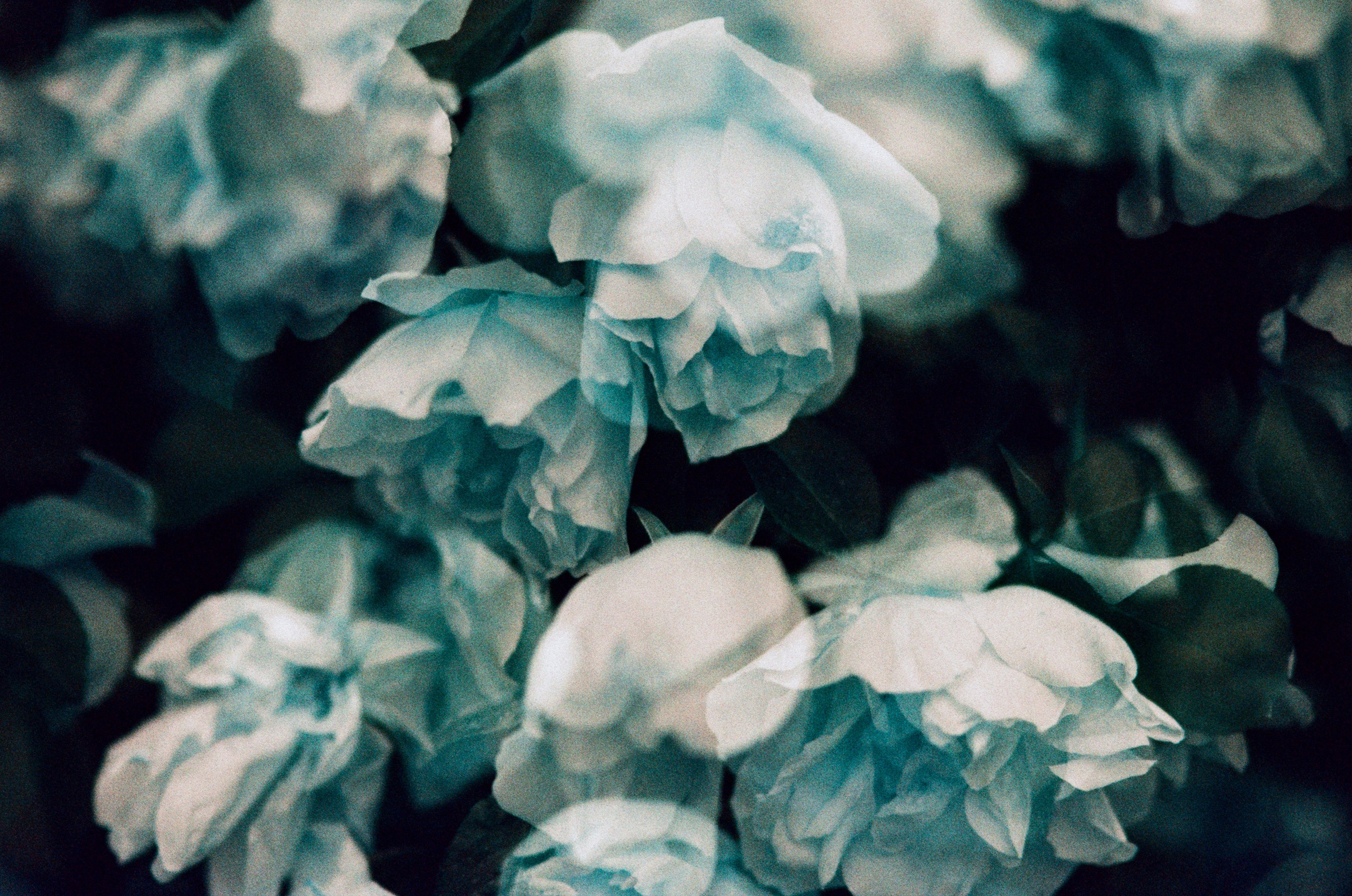 Pain shopping // ukraine, crimea III. EVER EXPOSED