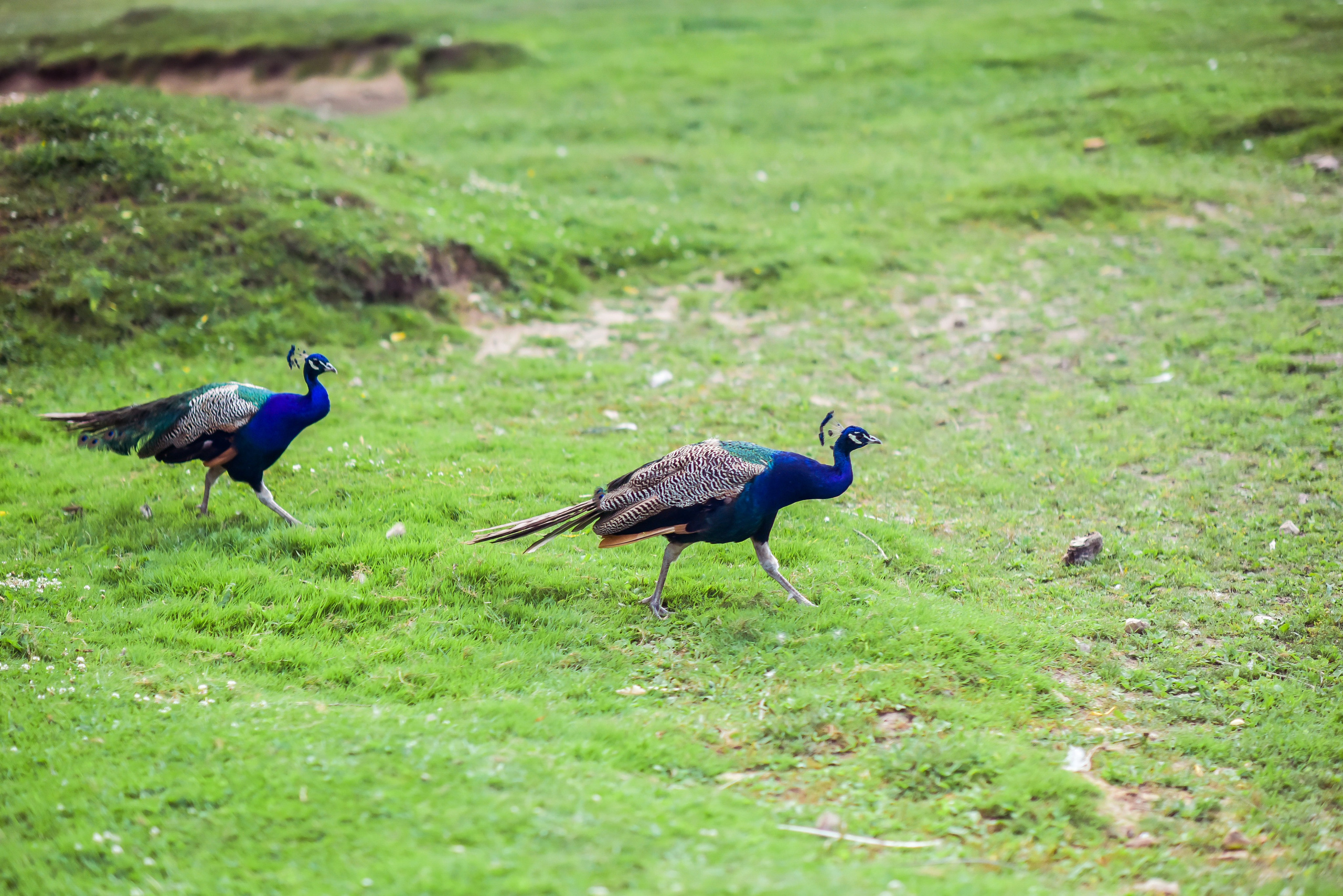 РАНЧО/ АВГУСТ. Фотограф для бизнесконтента, репортажей и семейного альбома в Москве