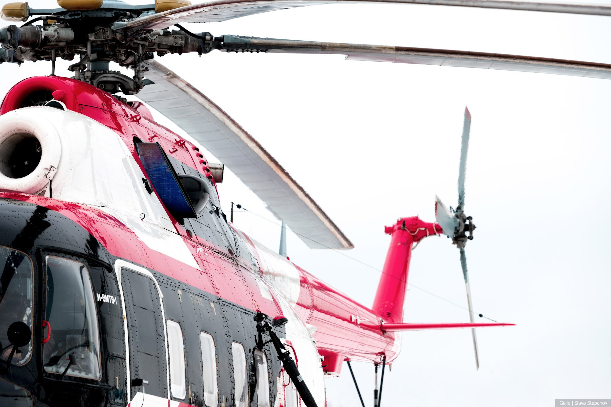 Аваиция. Фотограф Слава Степанов, Gelio