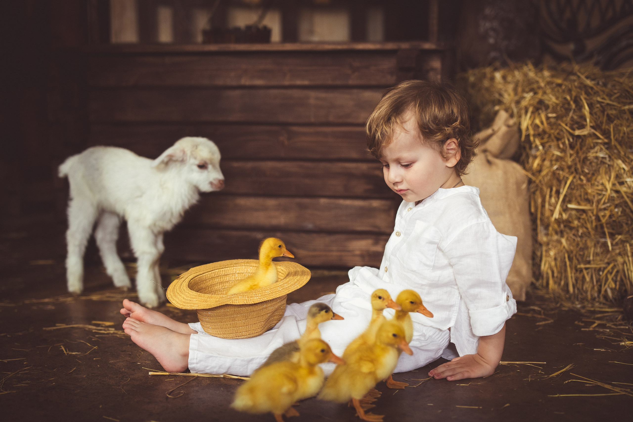 Пасхальный фотопроект с козочкой и утятами, в фотостудии «Эль» 2024 г. Семейный и детский фотограф в Краснодаре Анна Трашкова