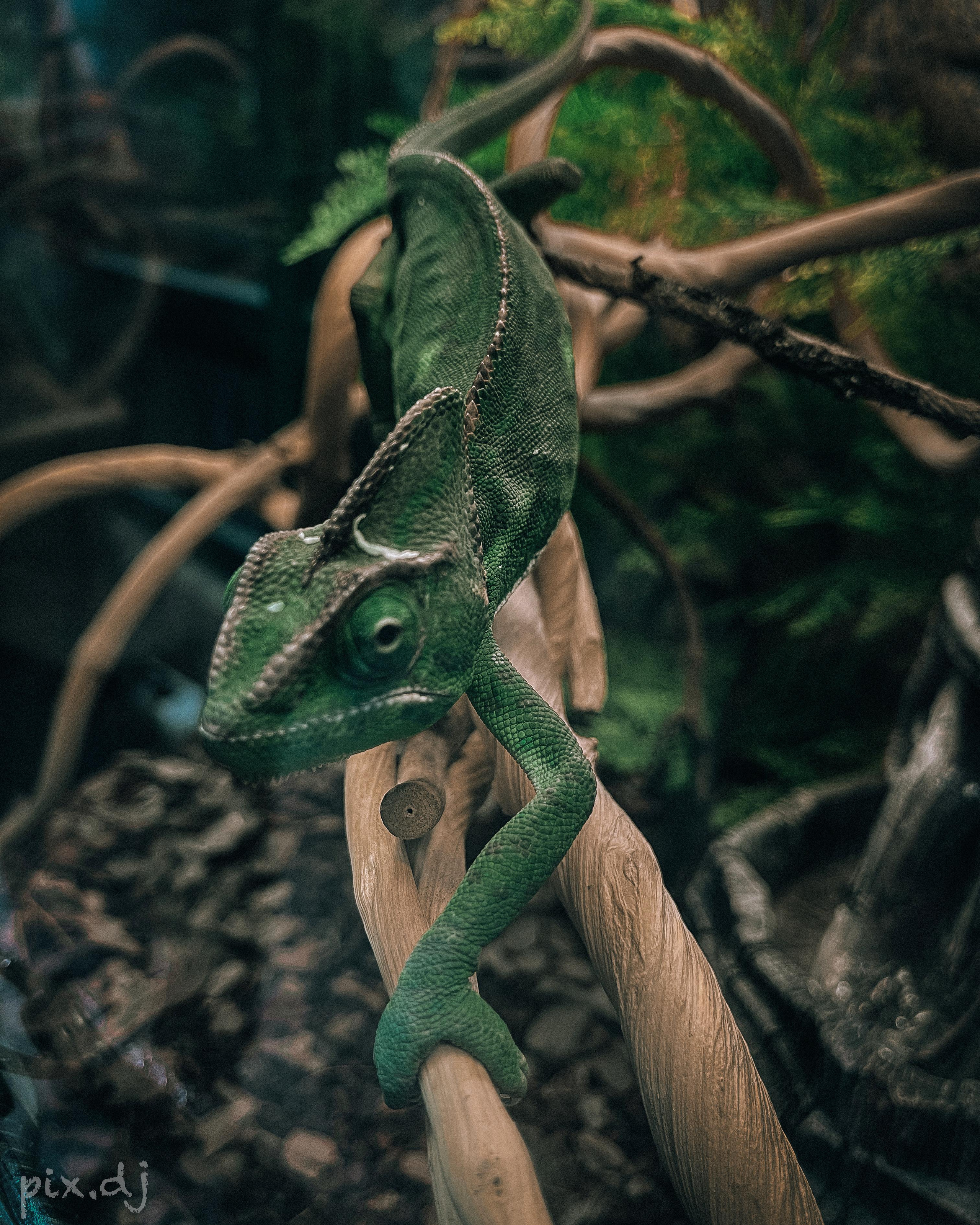 Фото для наслаждения. Фотограф и ретушер в Москве