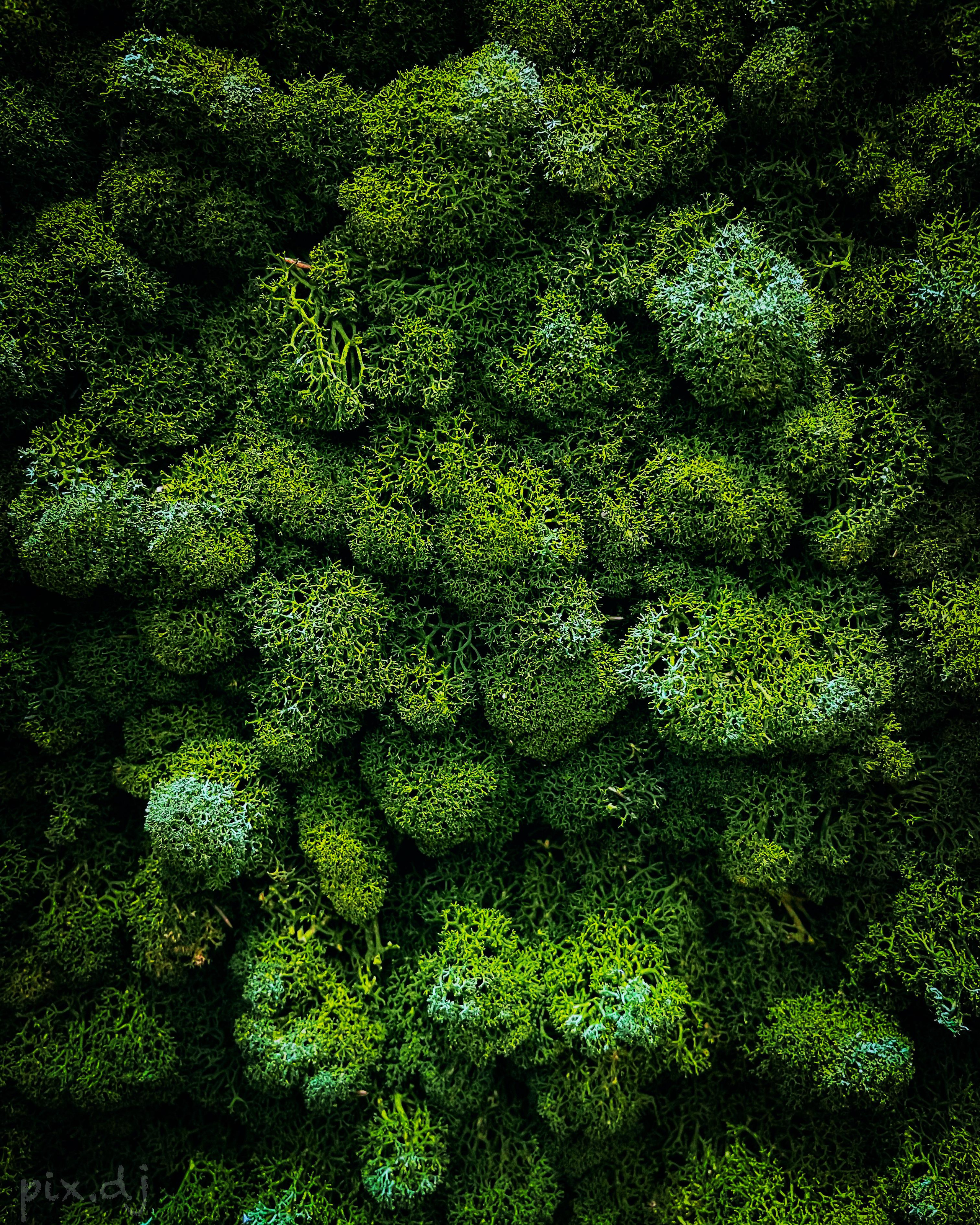 Фото для наслаждения. Фотограф и ретушер в Москве