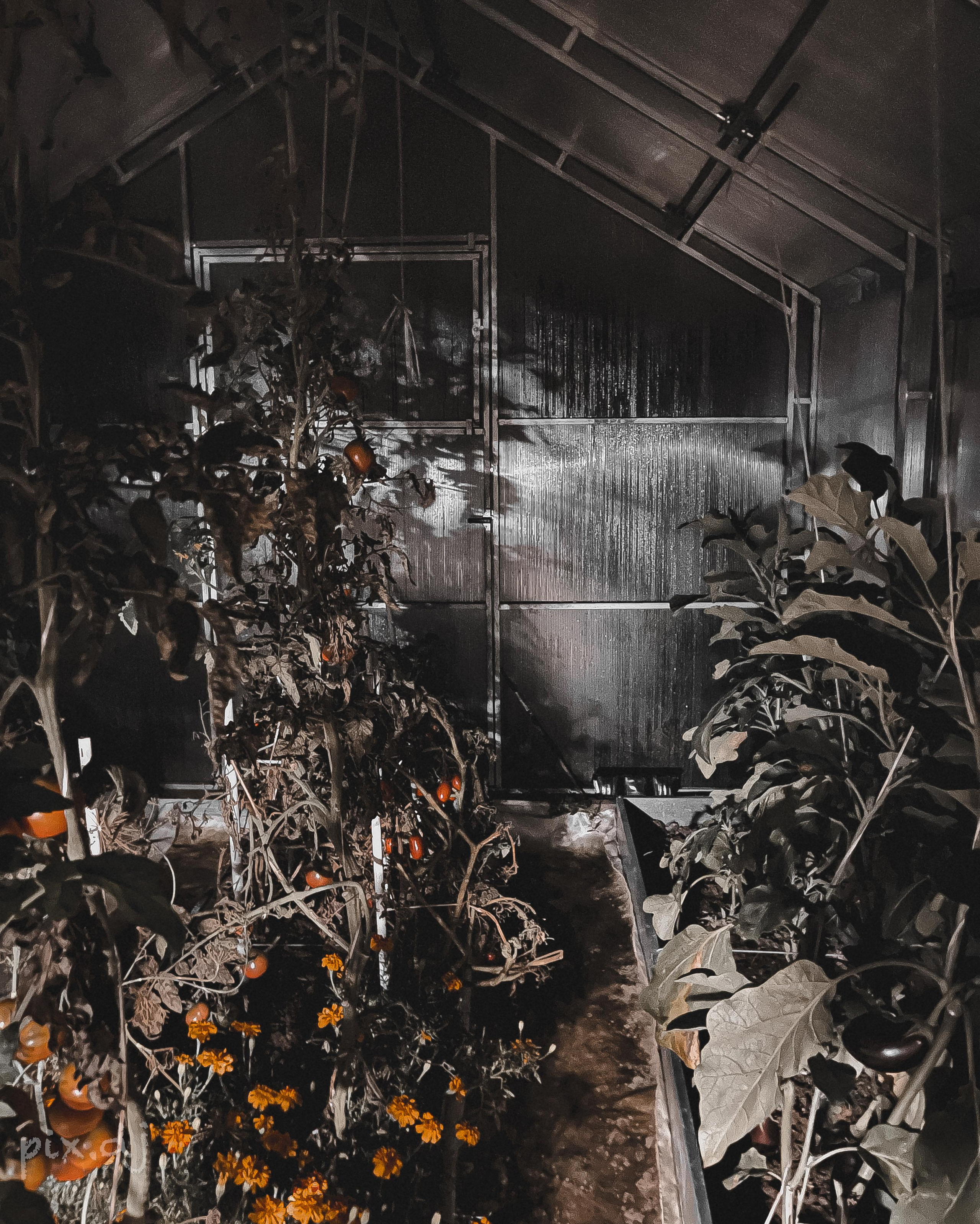 Фото для наслаждения. Фотограф и ретушер в Москве