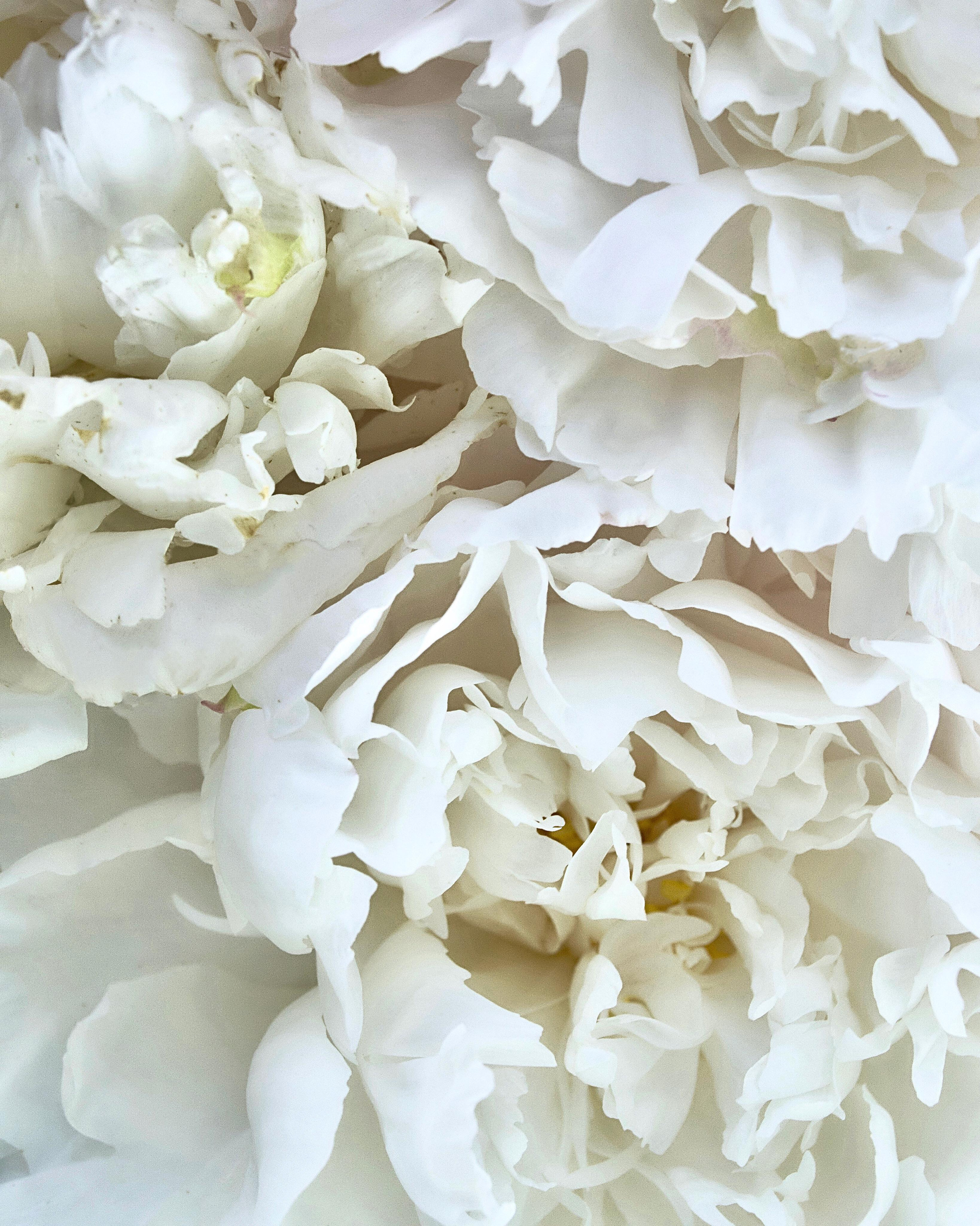 Фото для наслаждения. Фотограф и ретушер в Москве