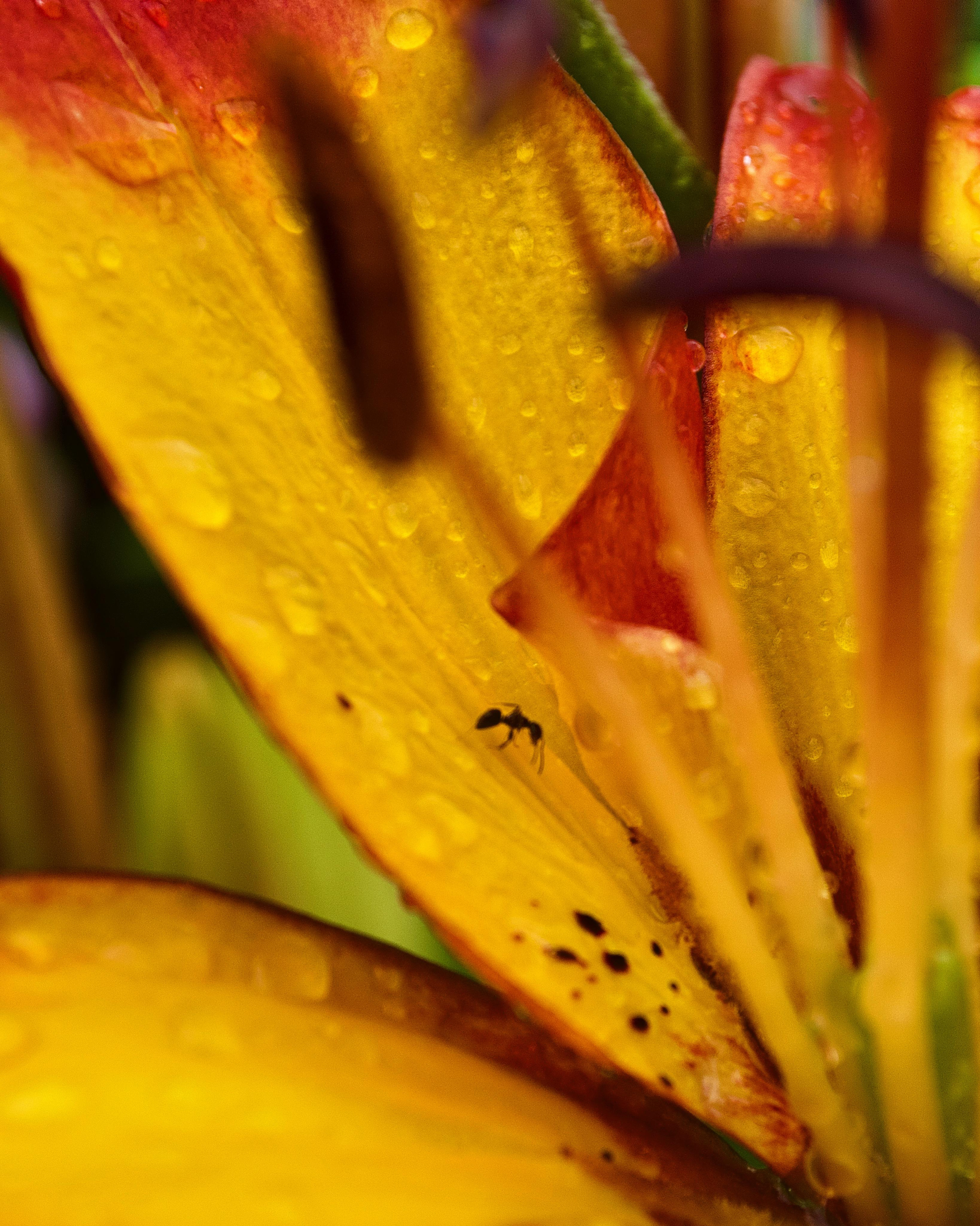 Фото для наслаждения. Фотограф и ретушер в Москве