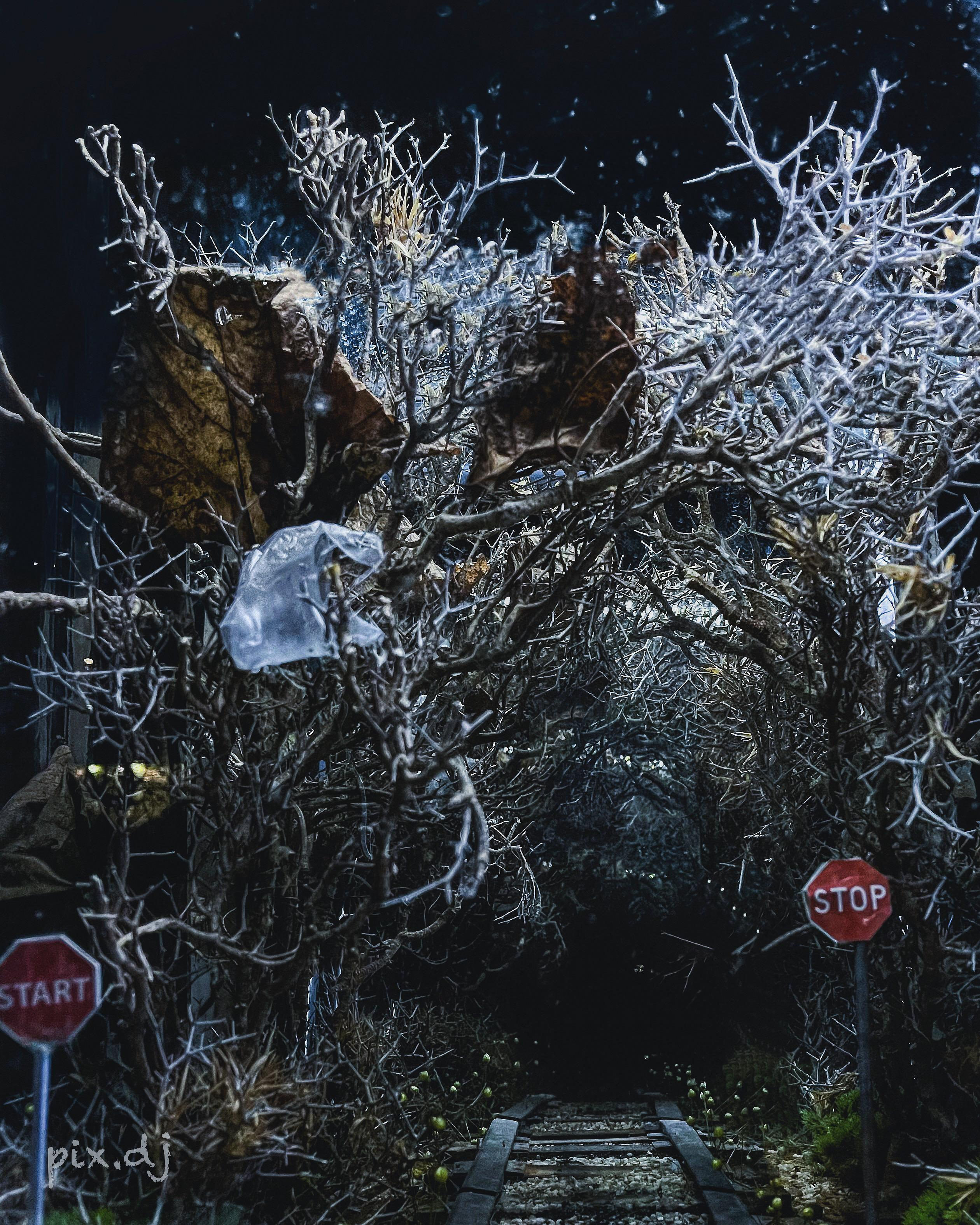 Фото для наслаждения. Фотограф и ретушер в Москве