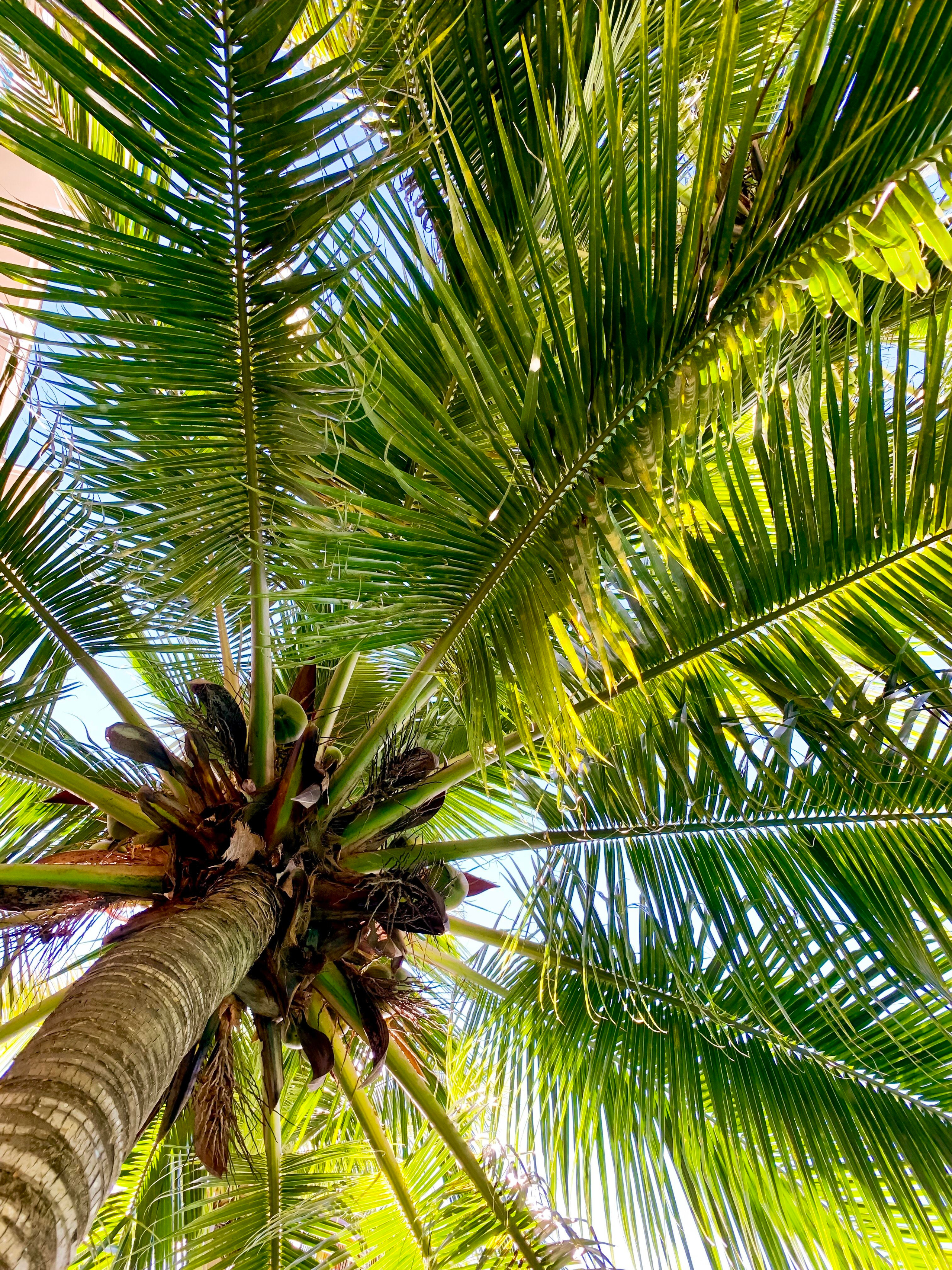 Фото для наслаждения. Фотограф и ретушер в Москве