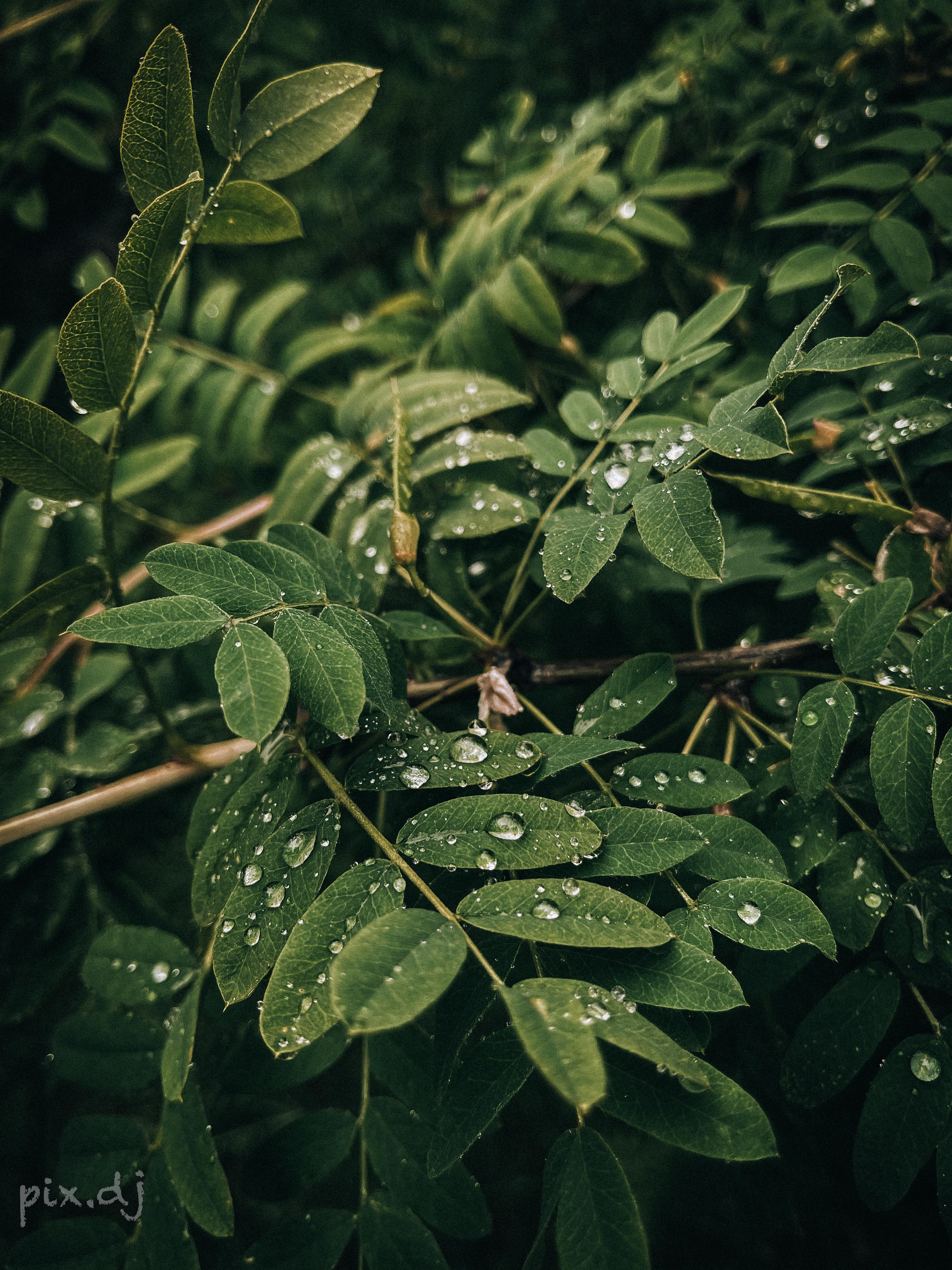 Фото для наслаждения. Фотограф и ретушер в Москве