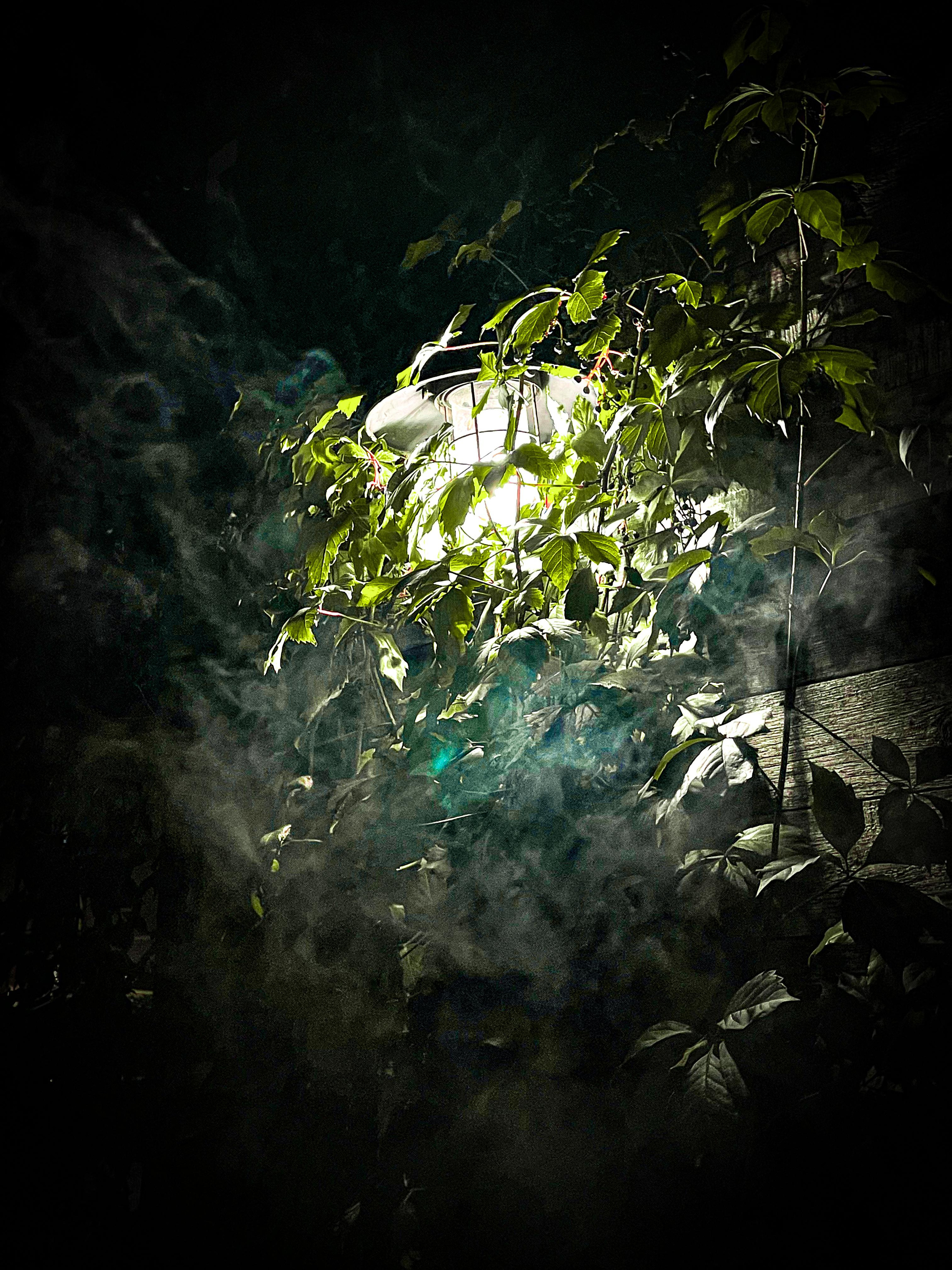 Фото для наслаждения. Фотограф и ретушер в Москве